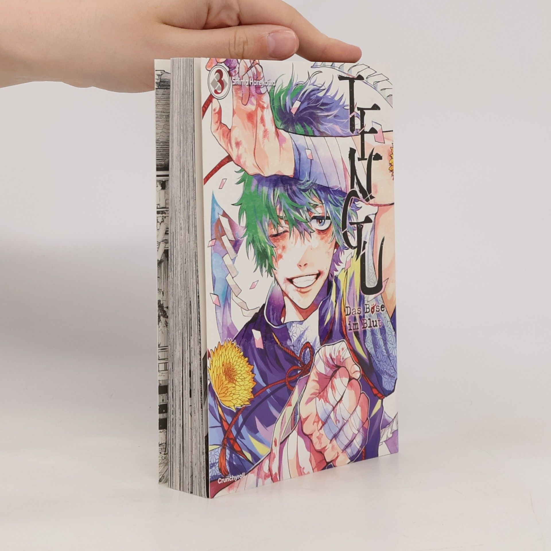 Shinta Harekawa Tengu - 3: Das Böse im Blut