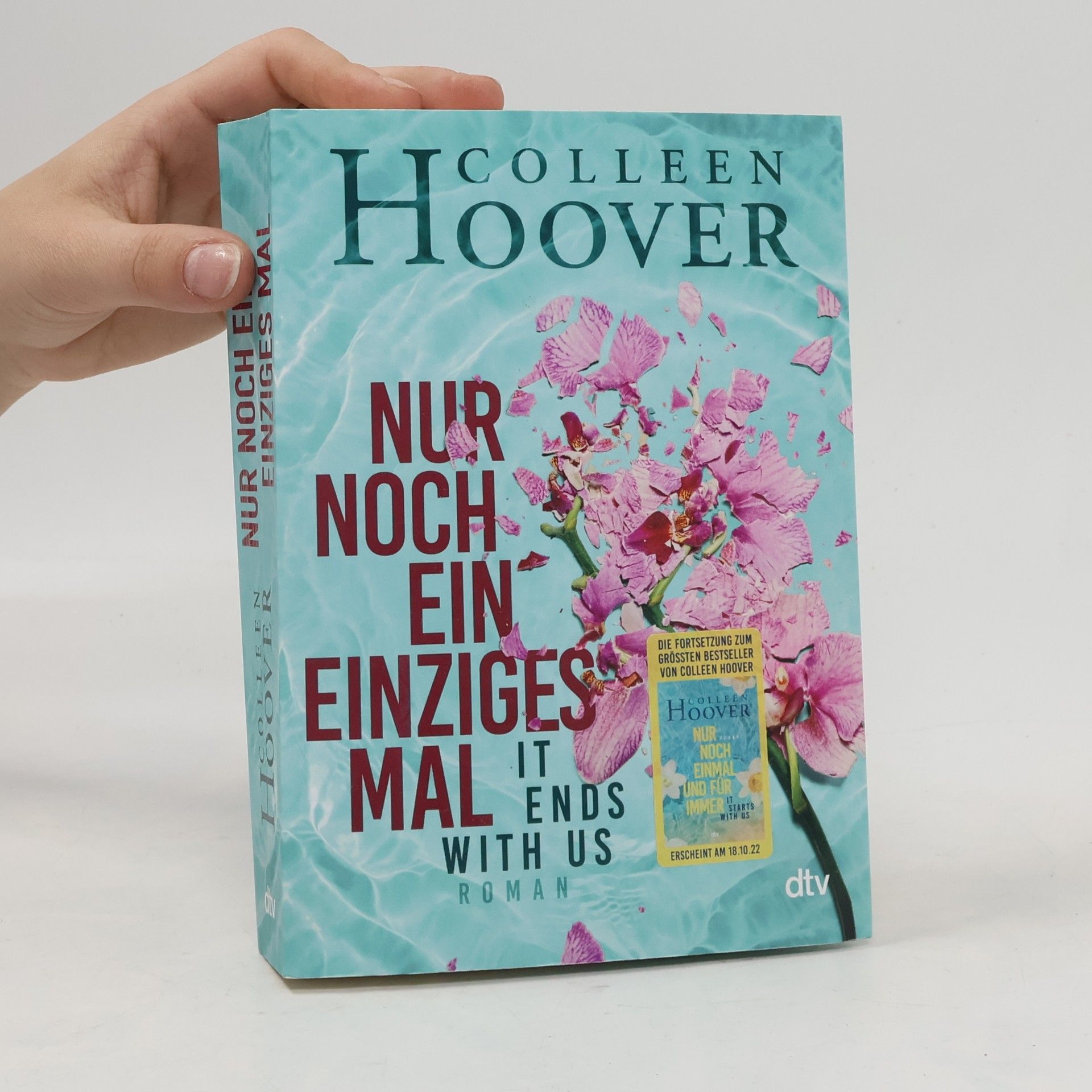 Colleen Hoover Nur noch ein einziges Mal