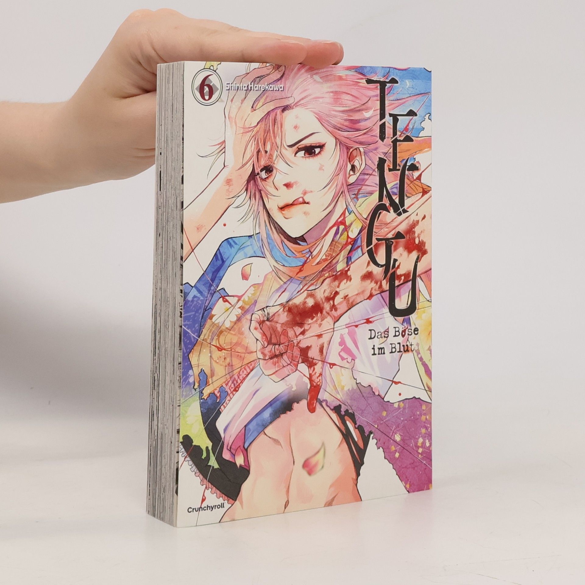 Shinta Harekawa Tengu – Das Böse im Blut – Band 6