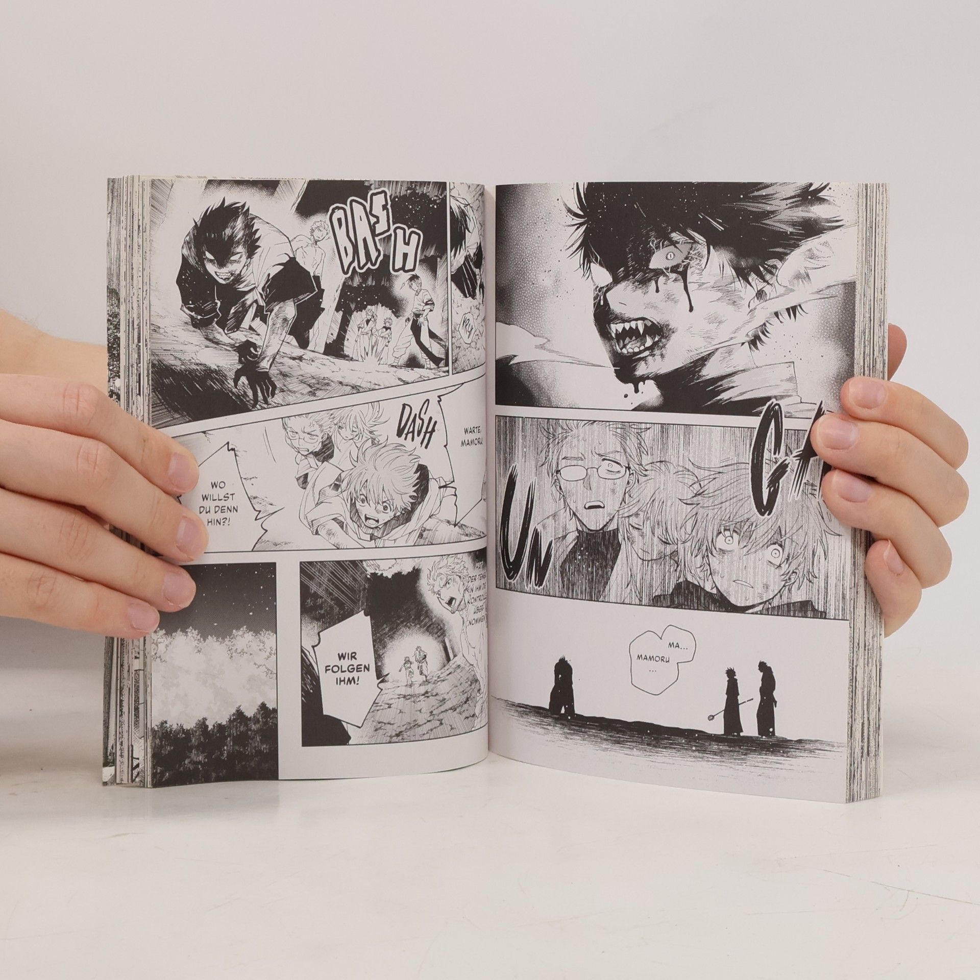 Shinta Harekawa Tengu – Das Böse im Blut – Band 6