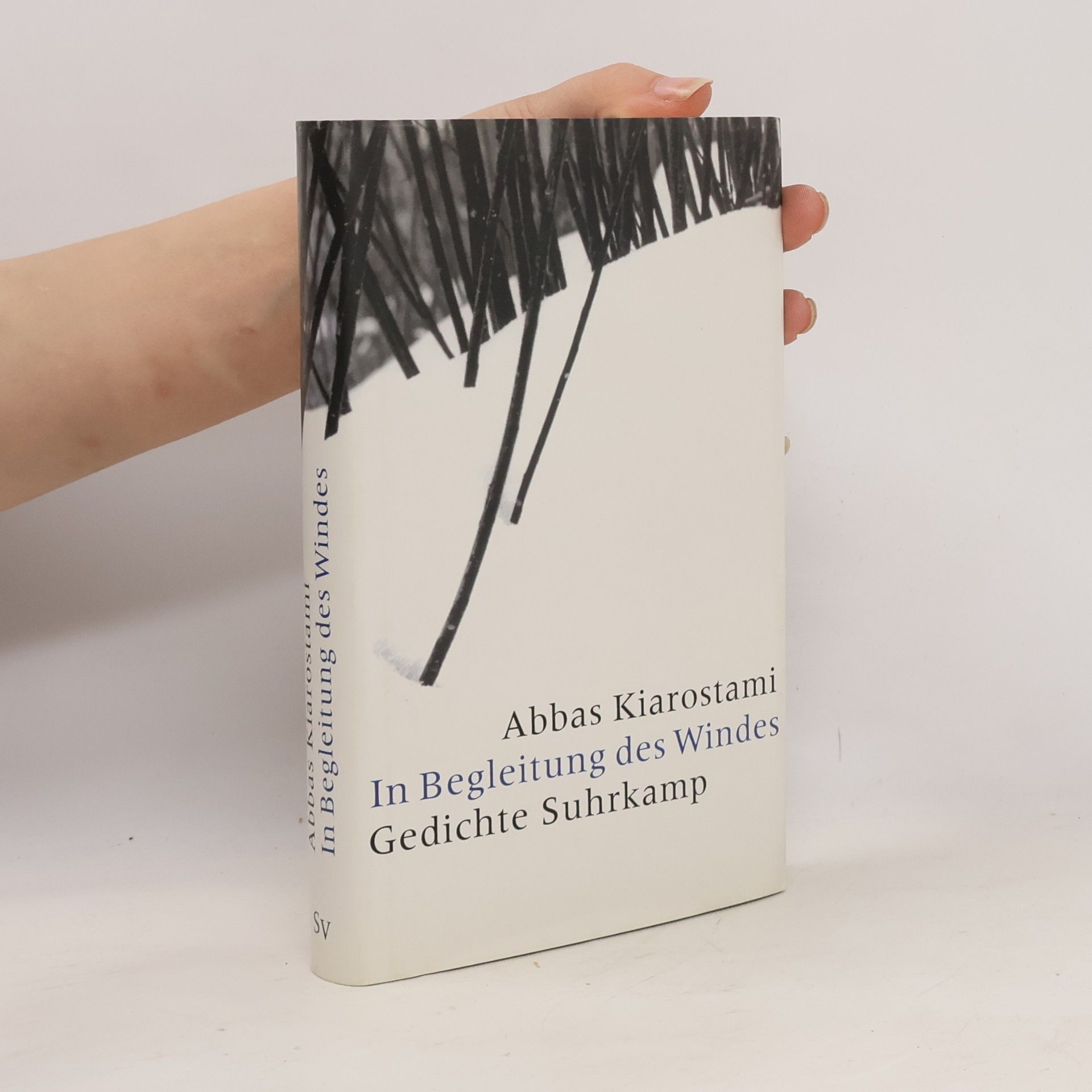 Abbas Kiarostami In Begleitung des Windes. Gedichte
