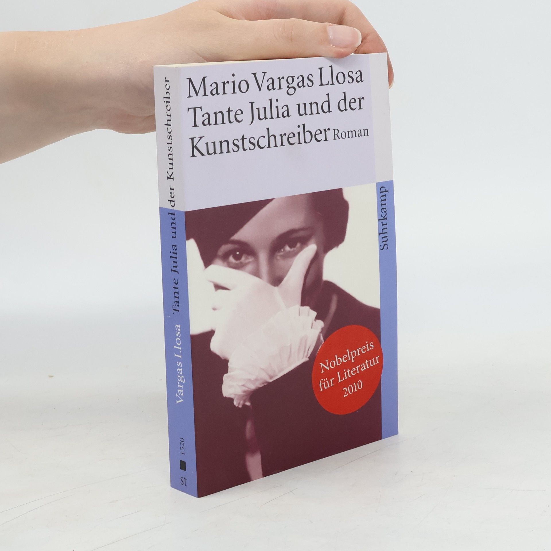 Mario Vargas Llosa Tante Julia und der Kunstschreiber