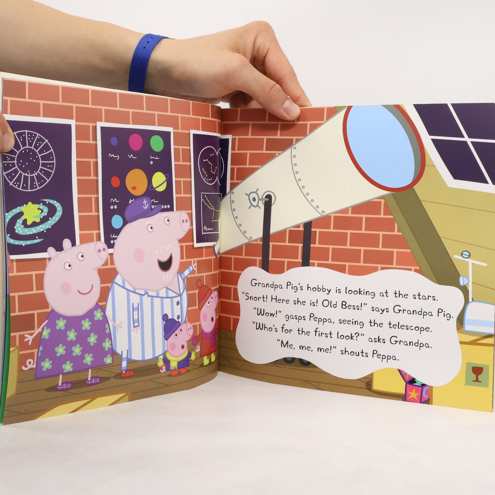 Autorenkollektiv Peppa Pig