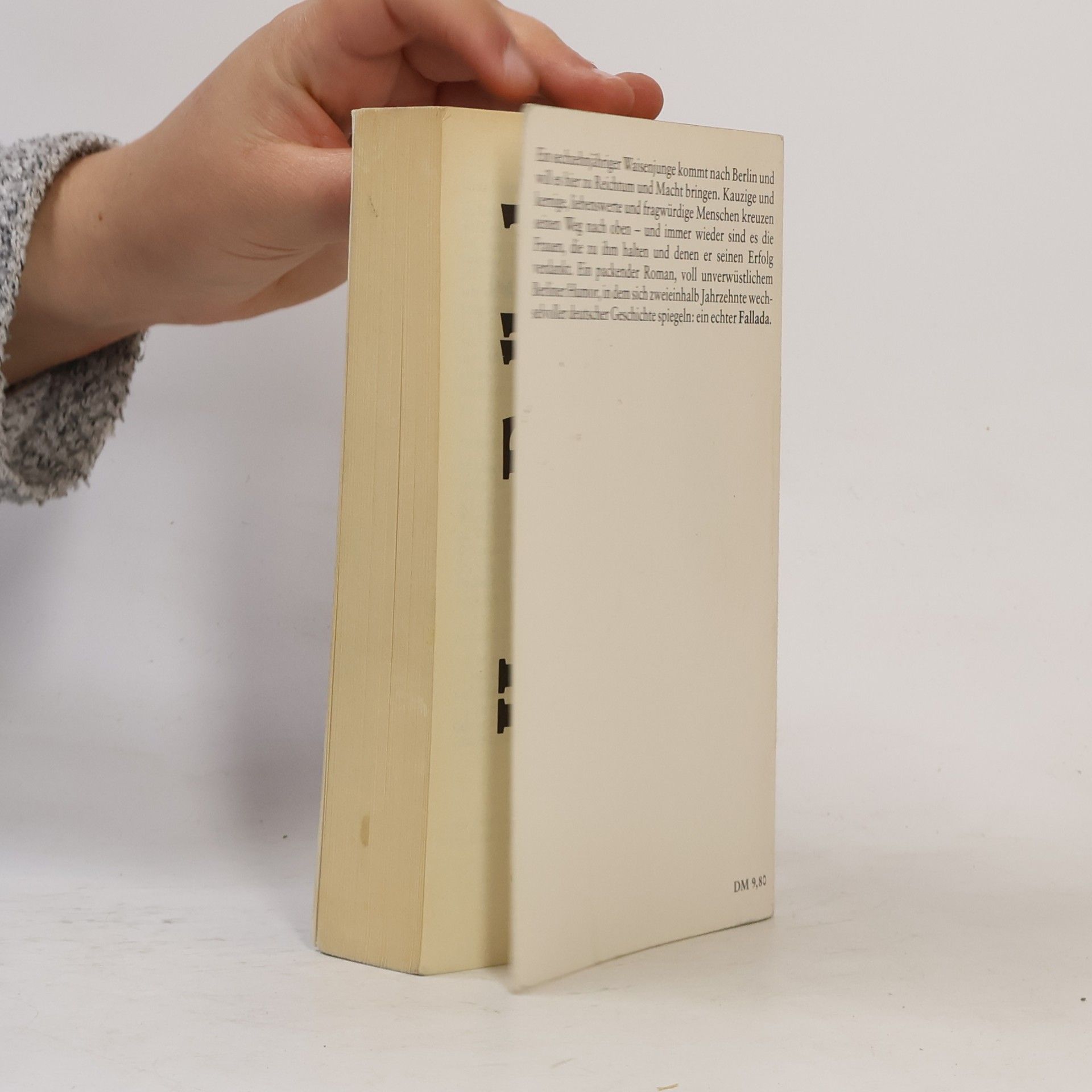 Hans Fallada Ein Mann will nach oben