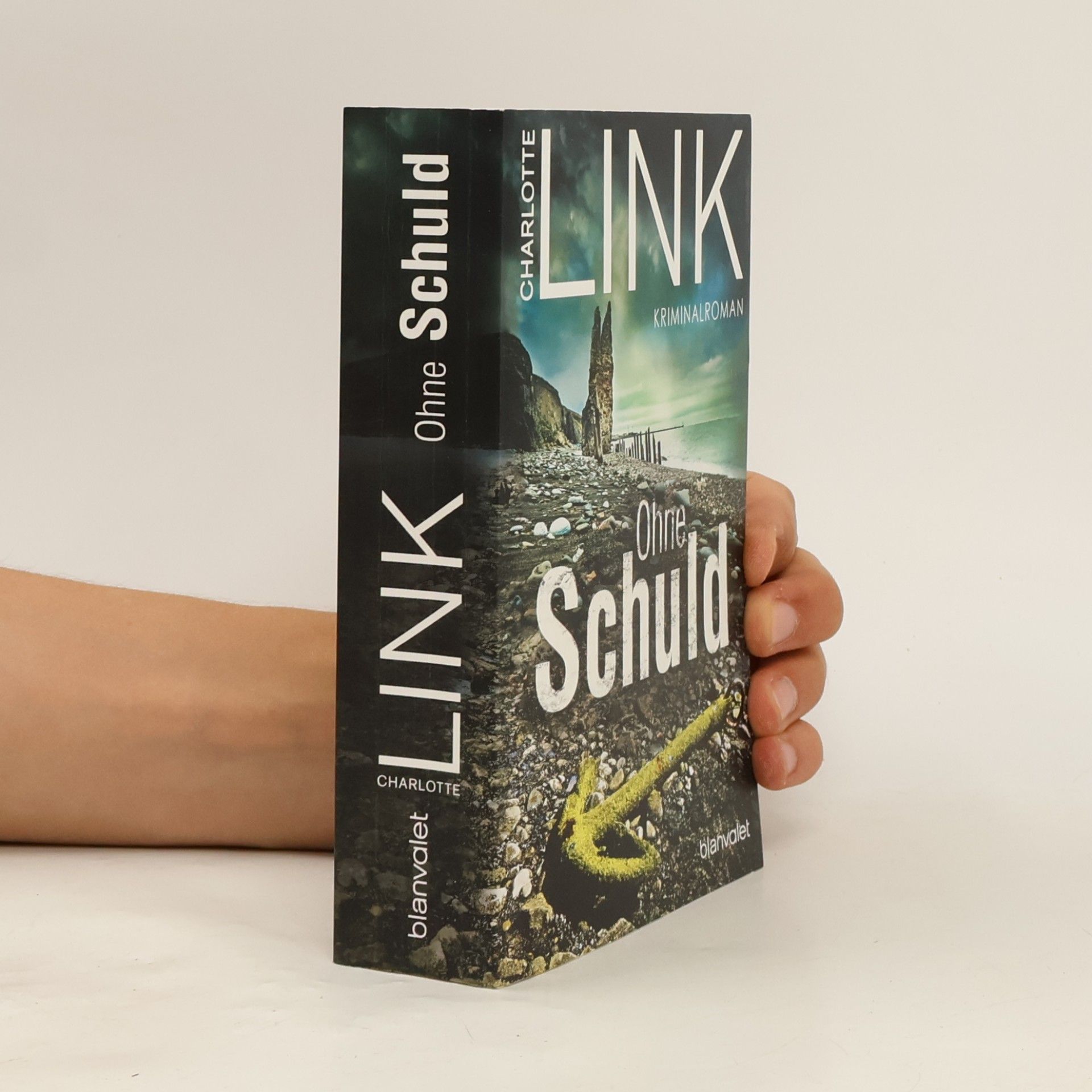 Charlotte Link Ohne Schuld