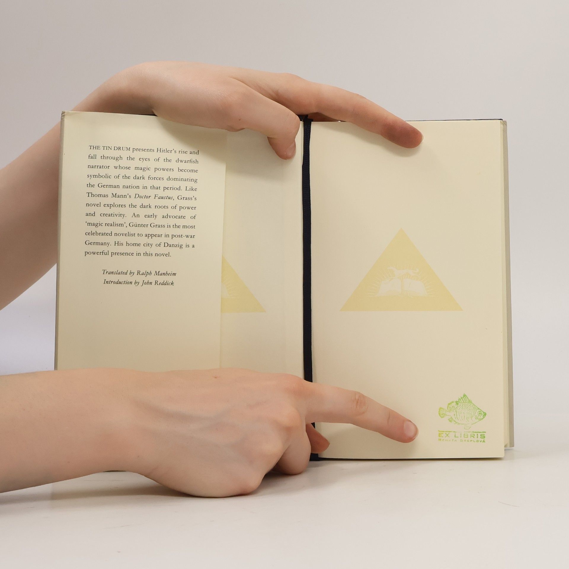 Günter Grass The Tin Drum