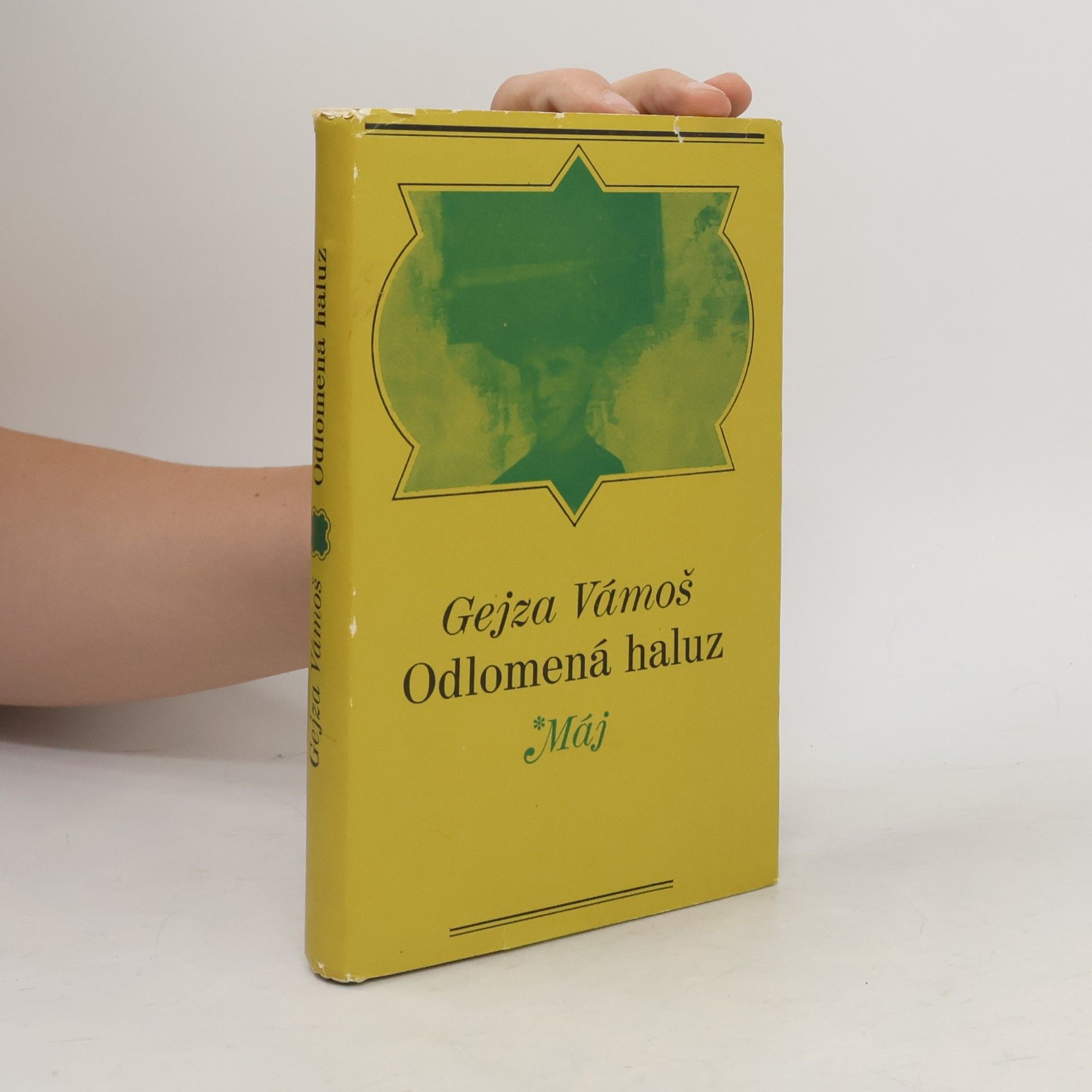 Gejza Vámoš Odlomená haluz