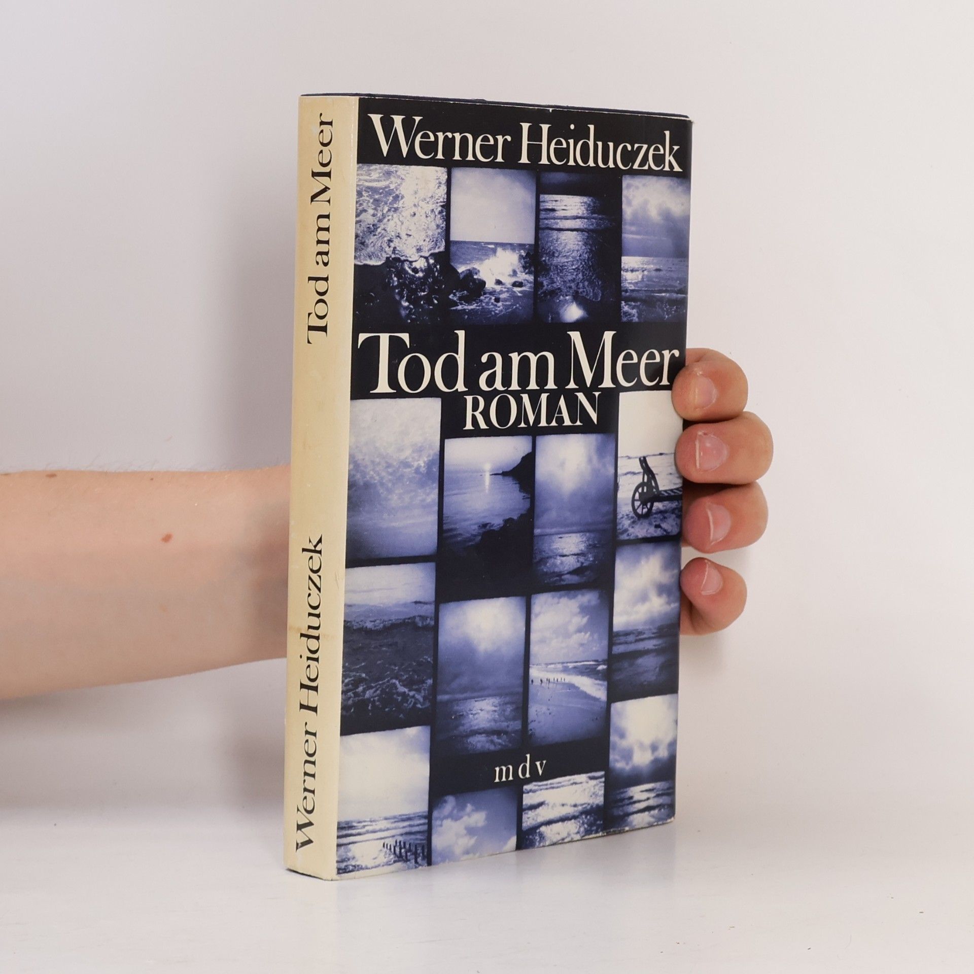 Werner Heiduczek Tod am Meer