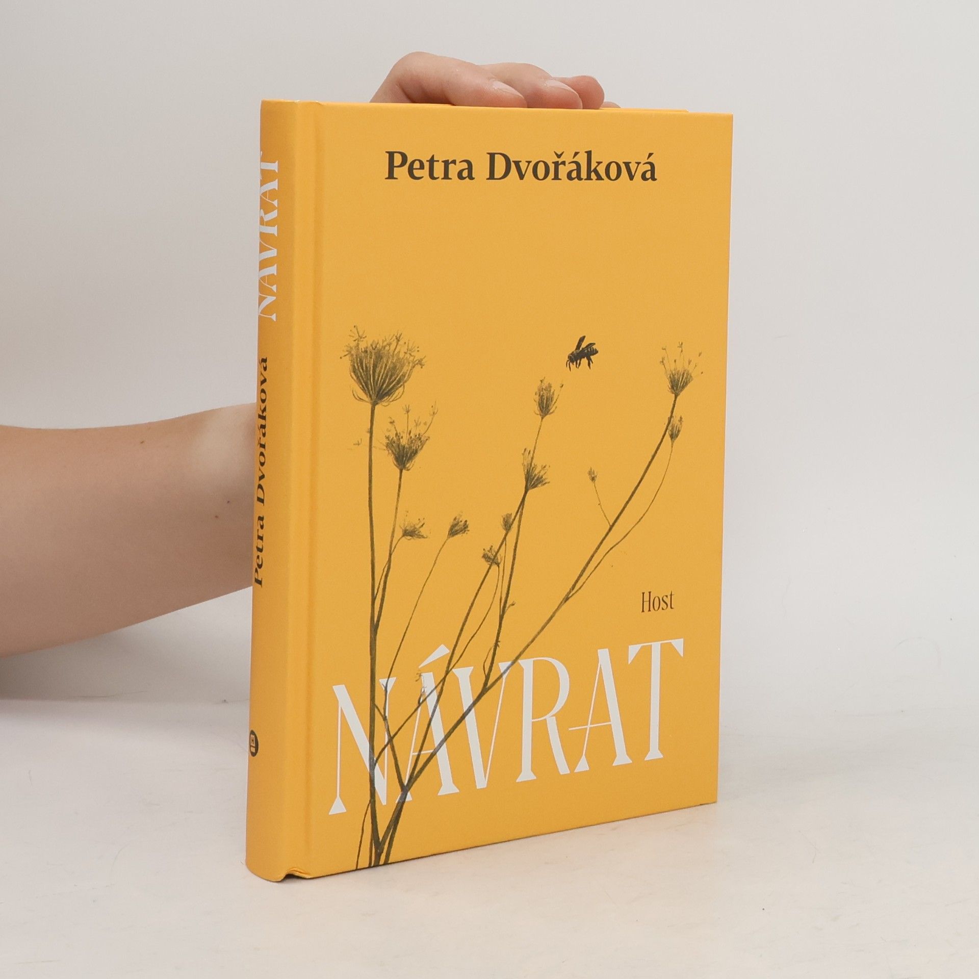 Petra Dvořáková Návrat