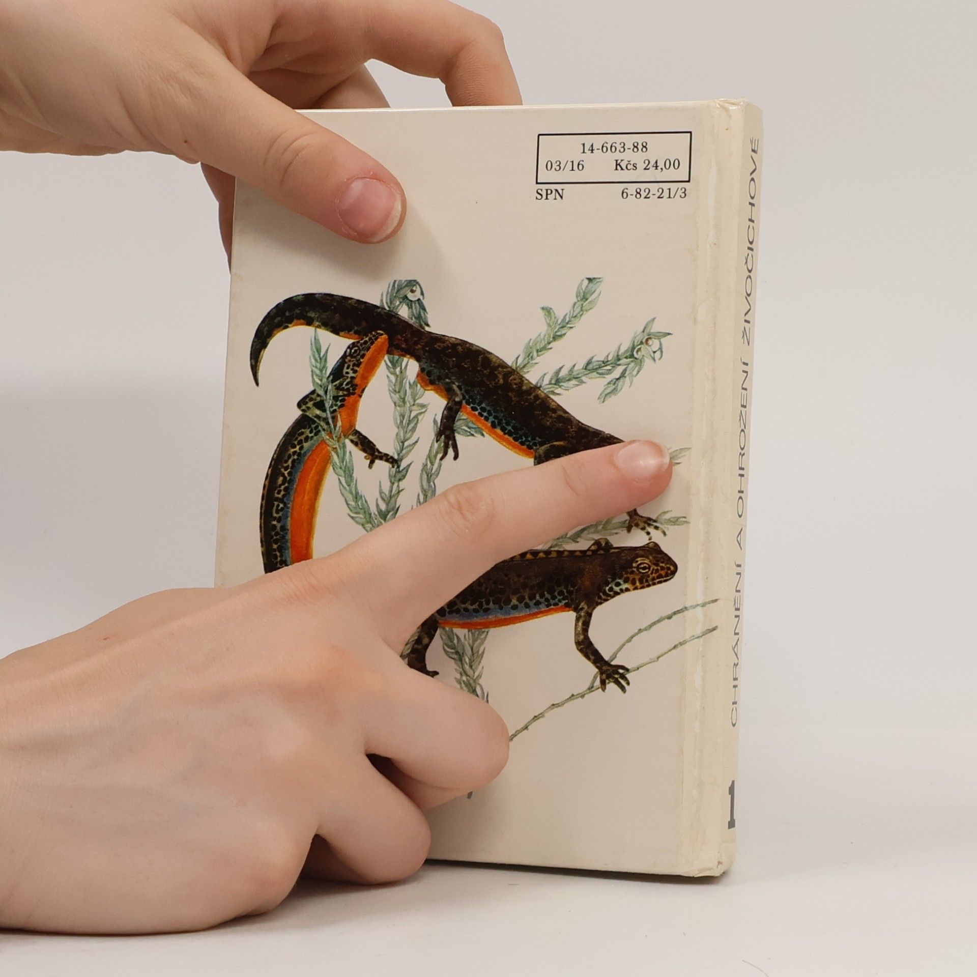 Various authors Kapesní atlas chráněných a ohrožených živočichů 1