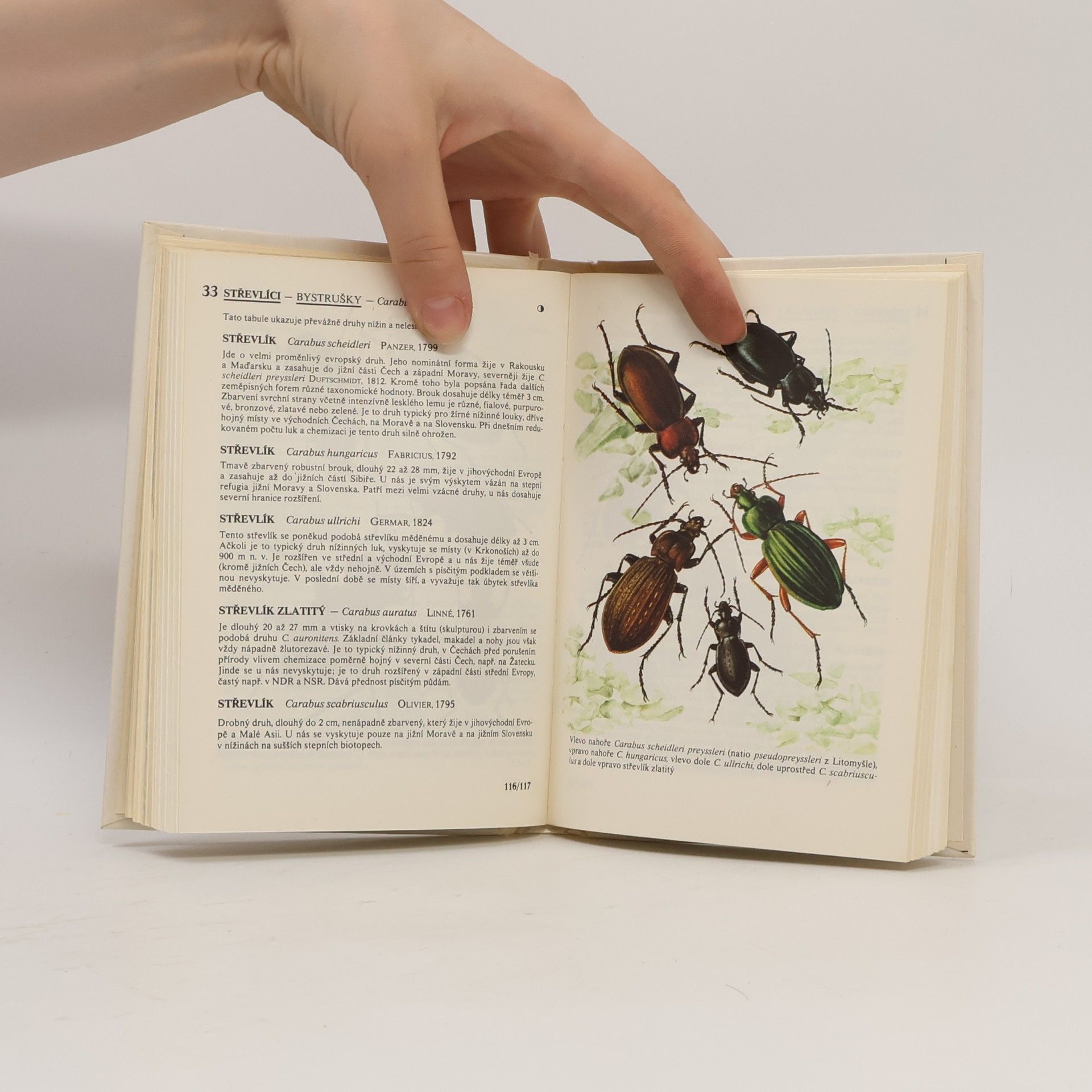 Various authors Kapesní atlas chráněných a ohrožených živočichů 1