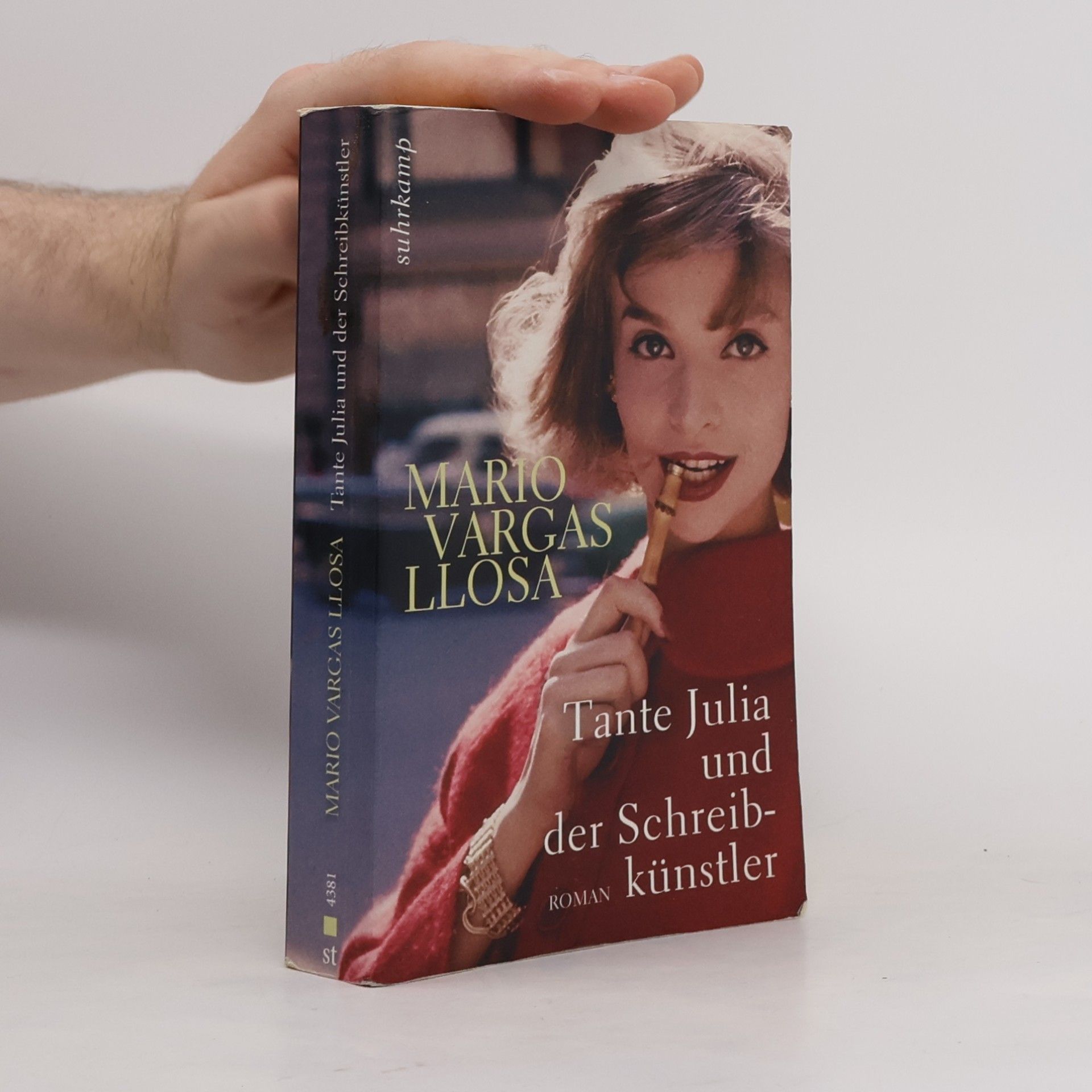 Mario Vargas Llosa Tante Julia und der Schreibkünstler