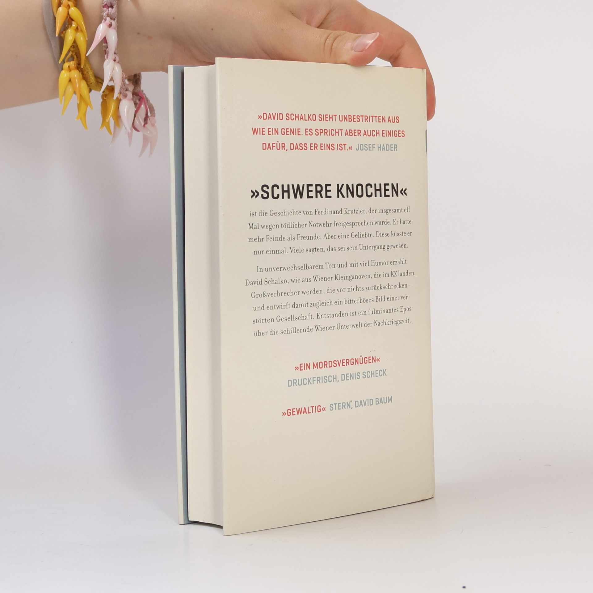 David Schalko Schwere Knochen