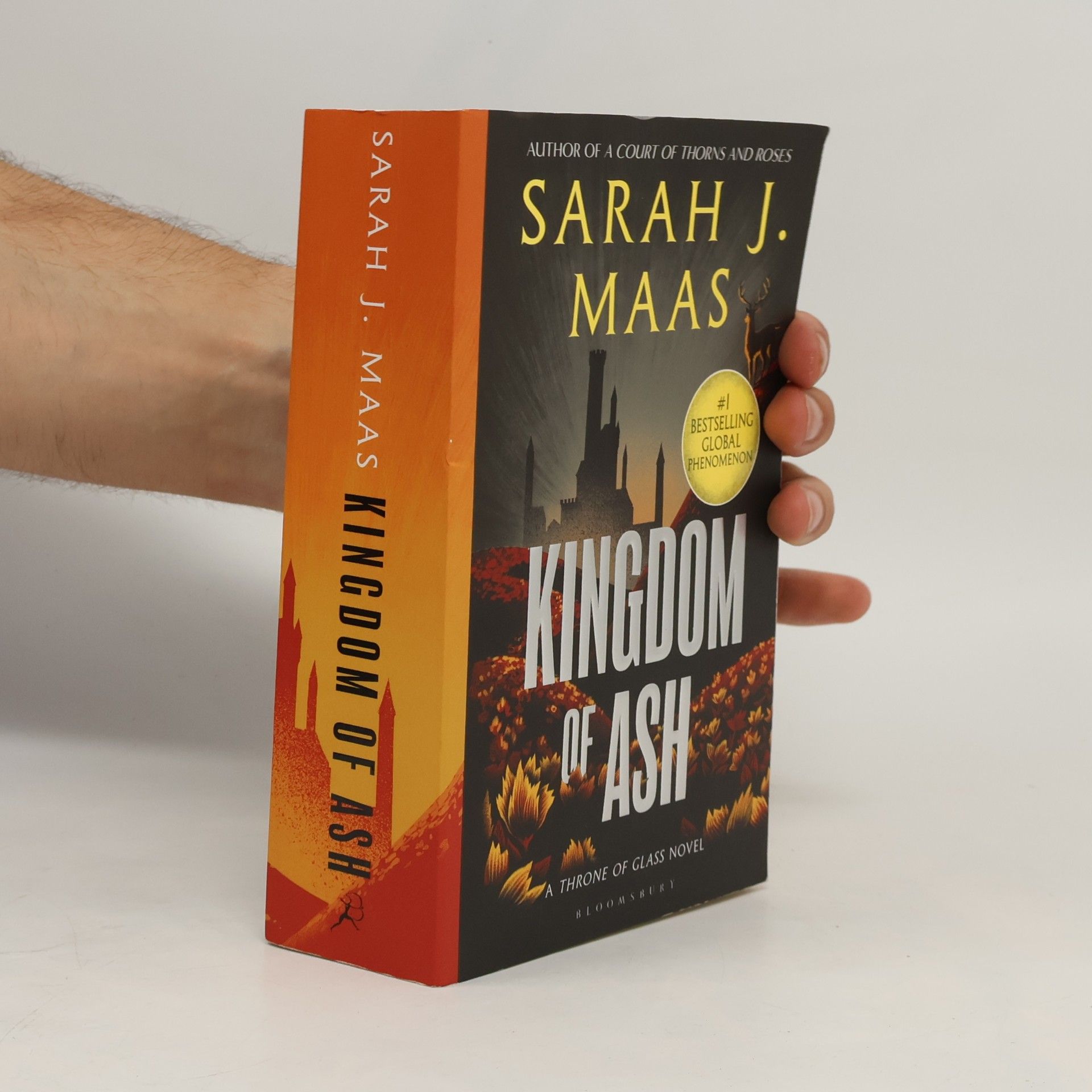 Sarah J. Maasová Kingdom of Ash