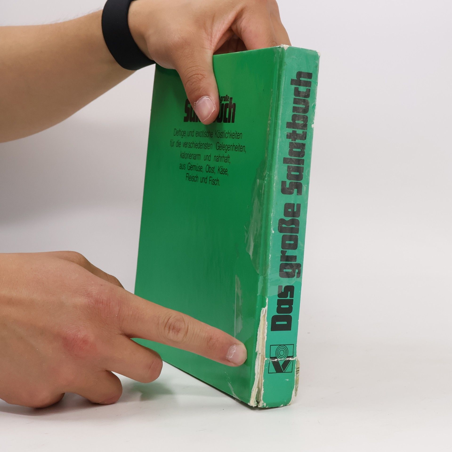 Irmgard Kohl Das grosse Salatbuch