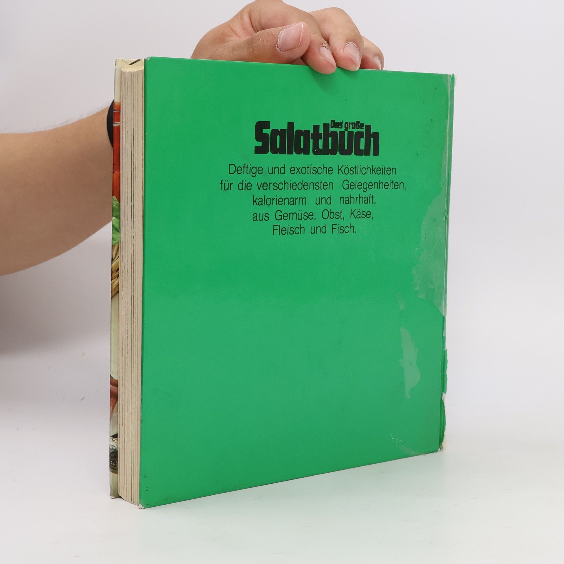 Irmgard Kohl Das grosse Salatbuch
