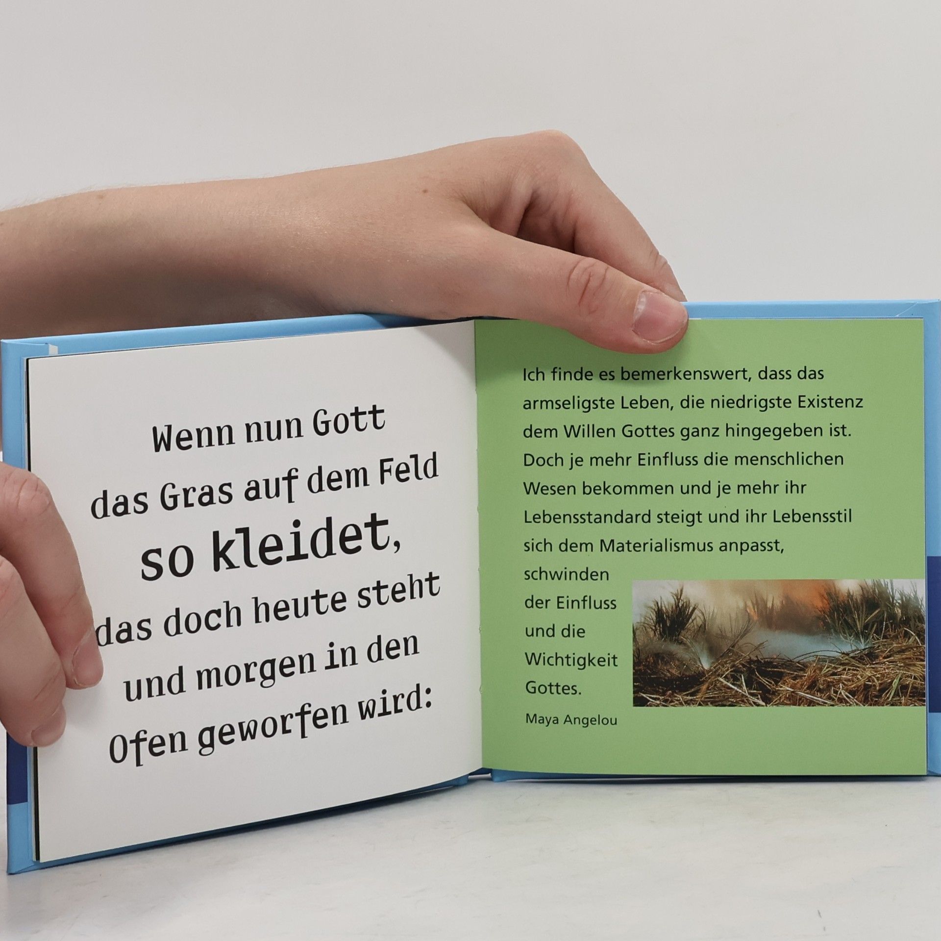 Claudia Wenserit Sorge dich nicht
