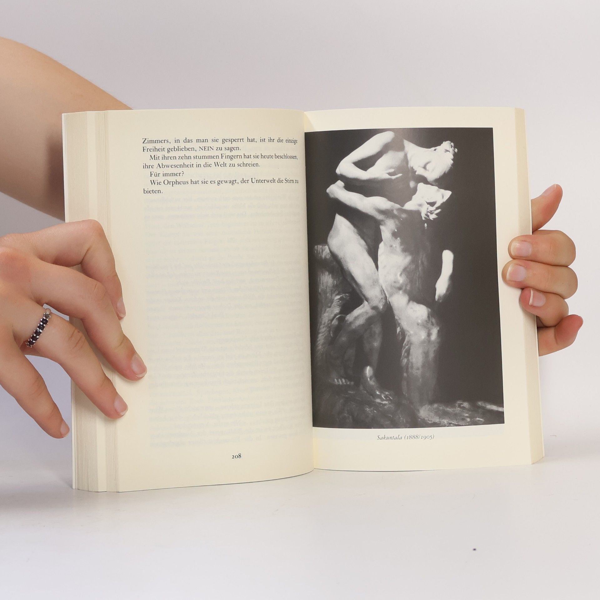 Anne Delbee Der Kuss. Kunst und Leben der Camille Claudel