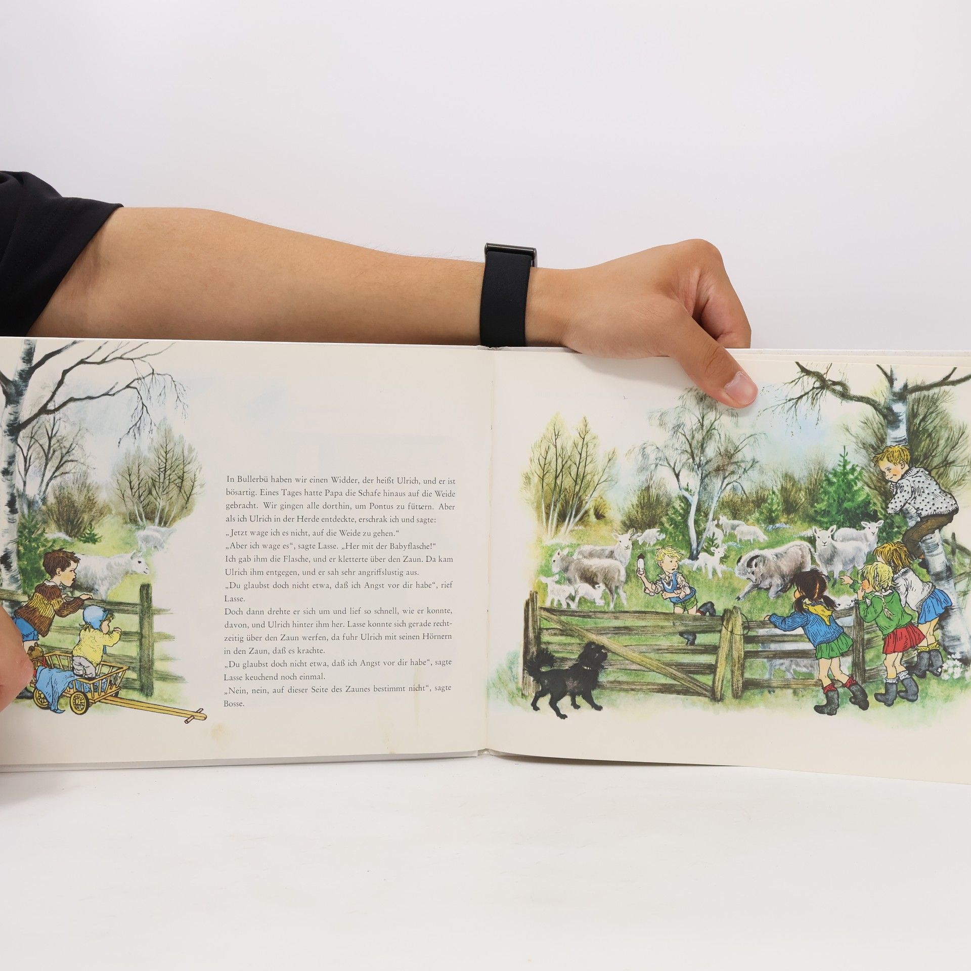 Astrid Lindgren Lustiges Bullerbü