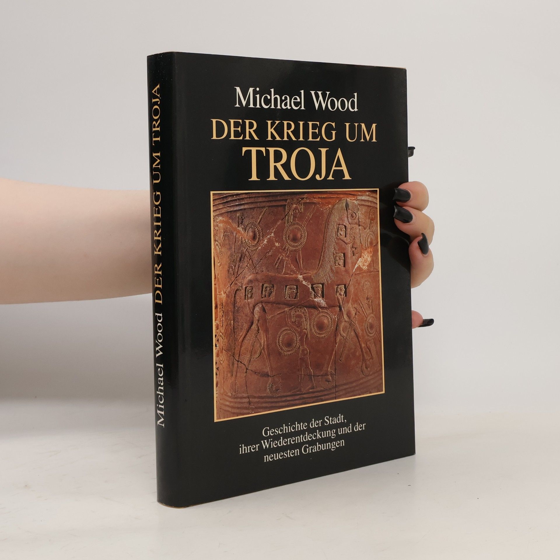 Michael Wood Der Krieg um Troja