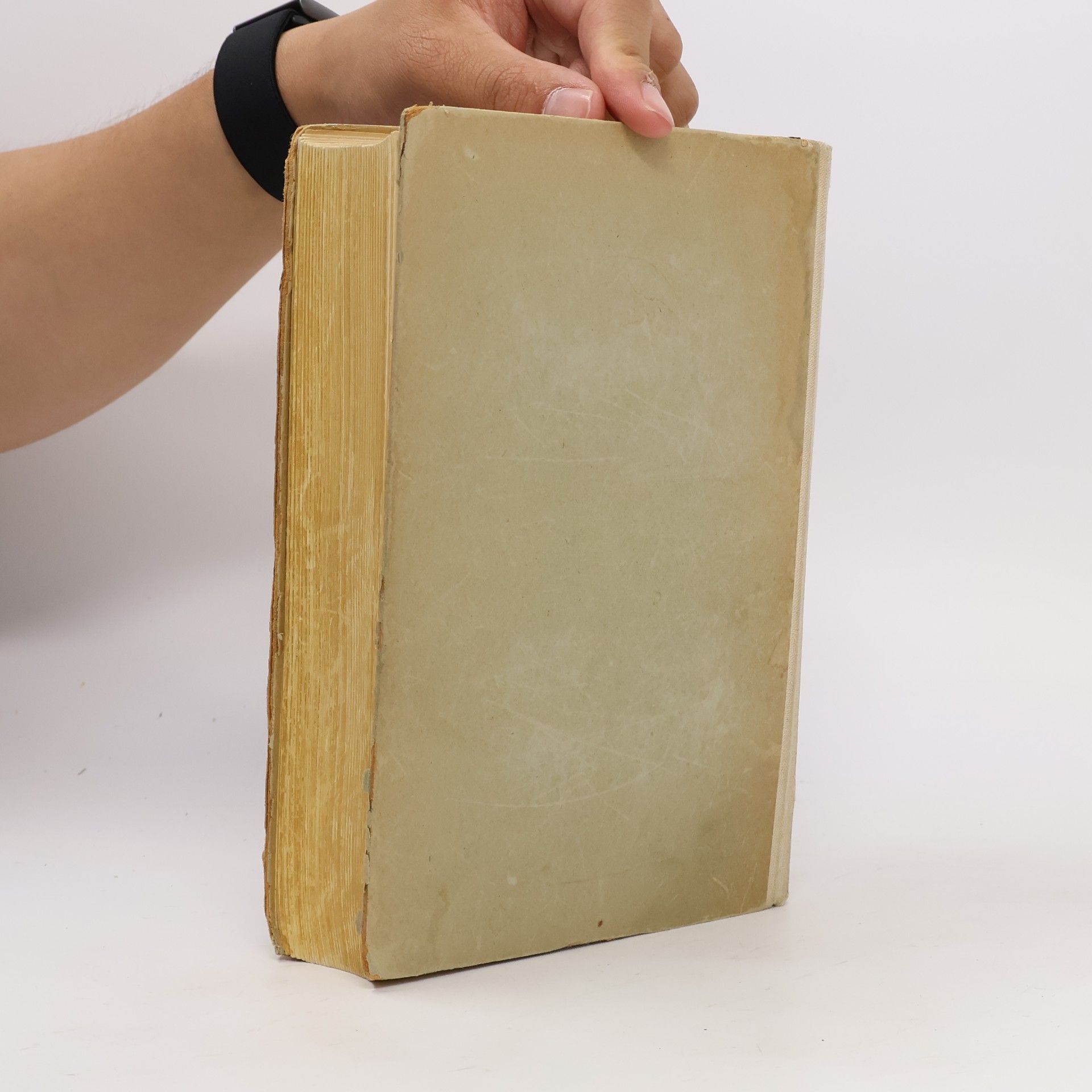 Autores varios Die schönsten Geschichten aus 1001 Nacht