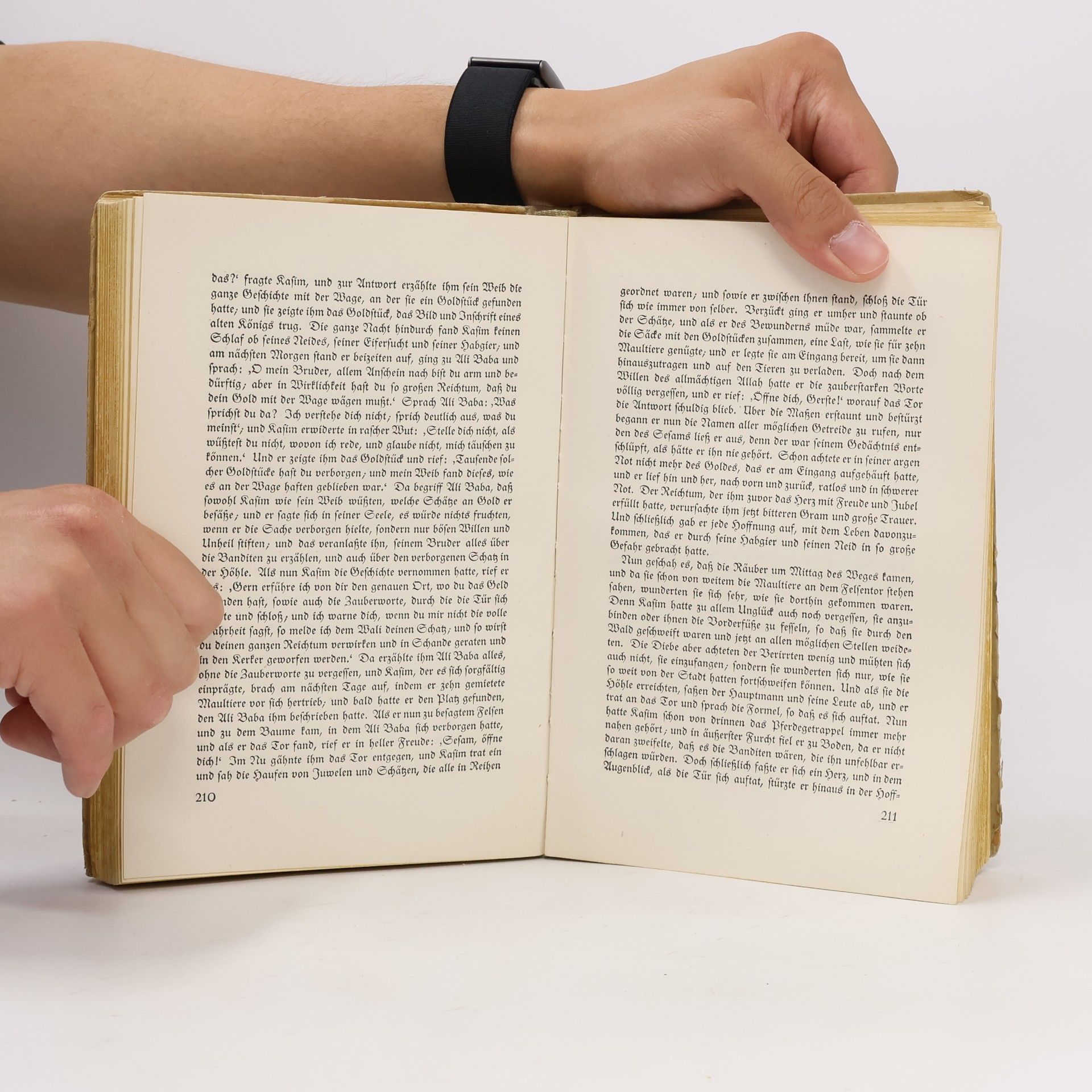 Autores varios Die schönsten Geschichten aus 1001 Nacht