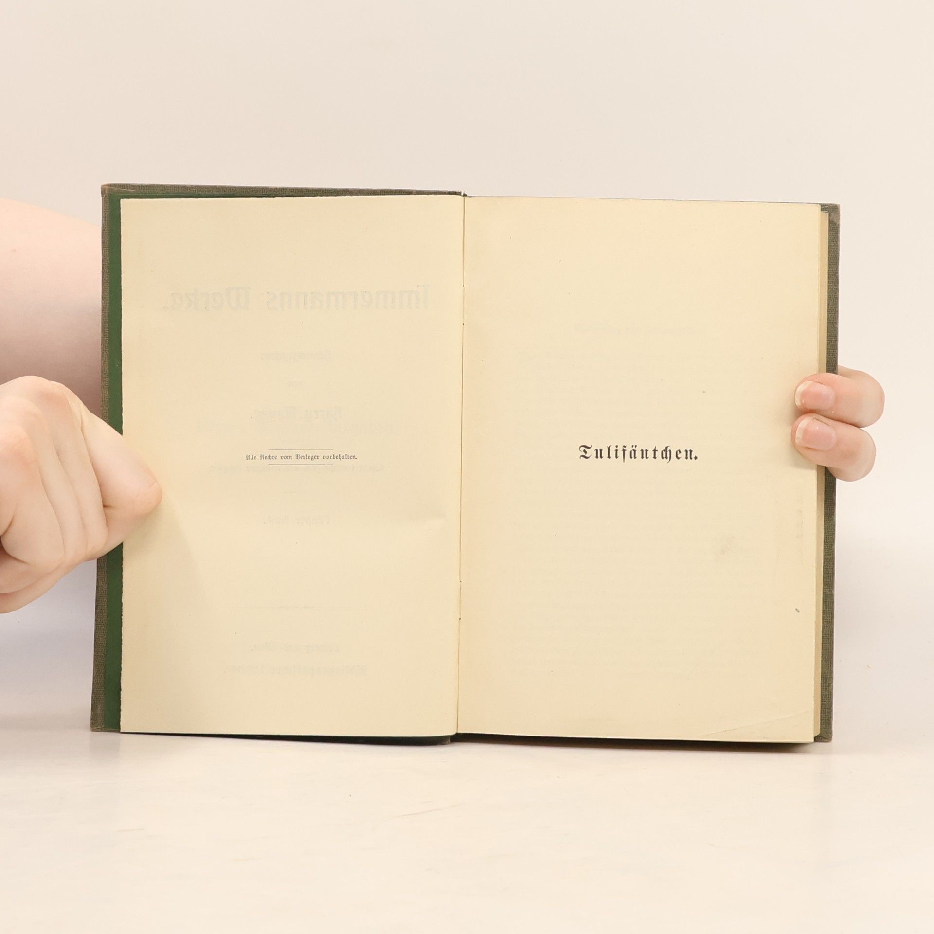 Harry Wilhelm Mayne Immermanns Werke. Band 5