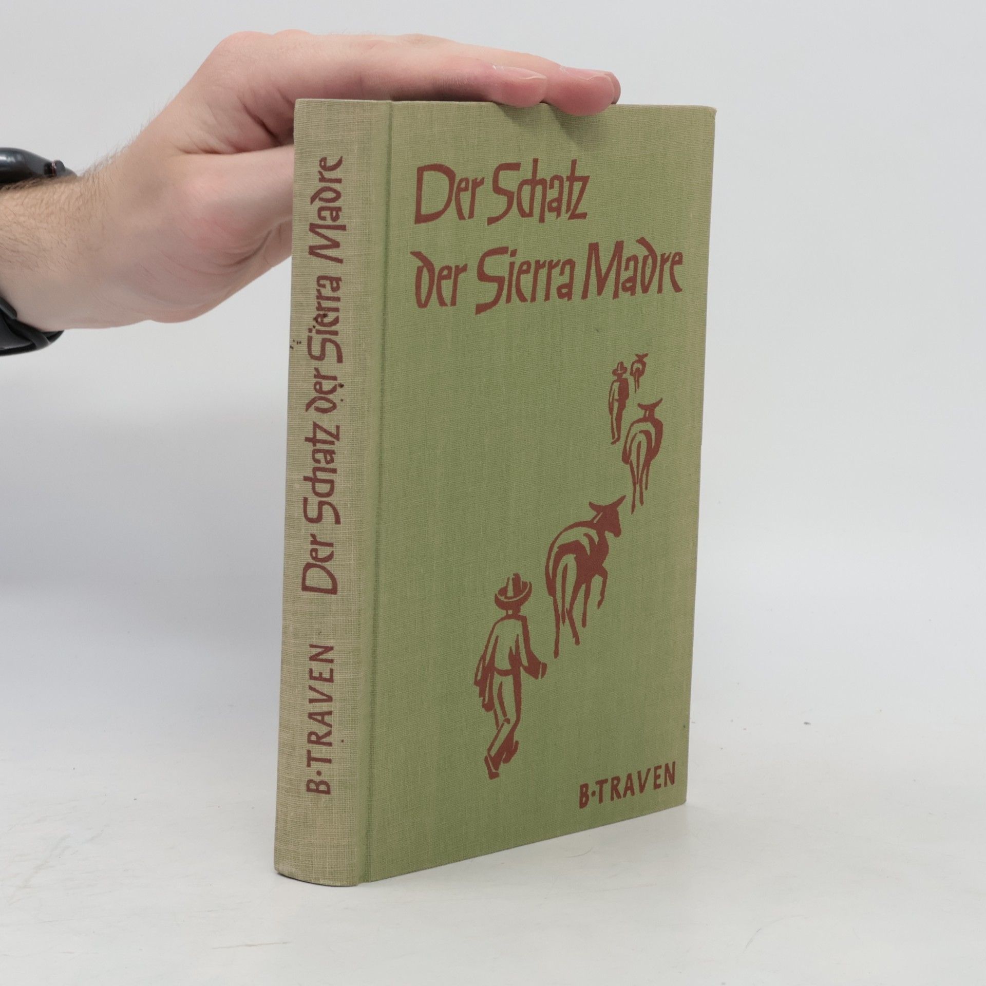 B. Traven Der Schatz der Sierra Madre