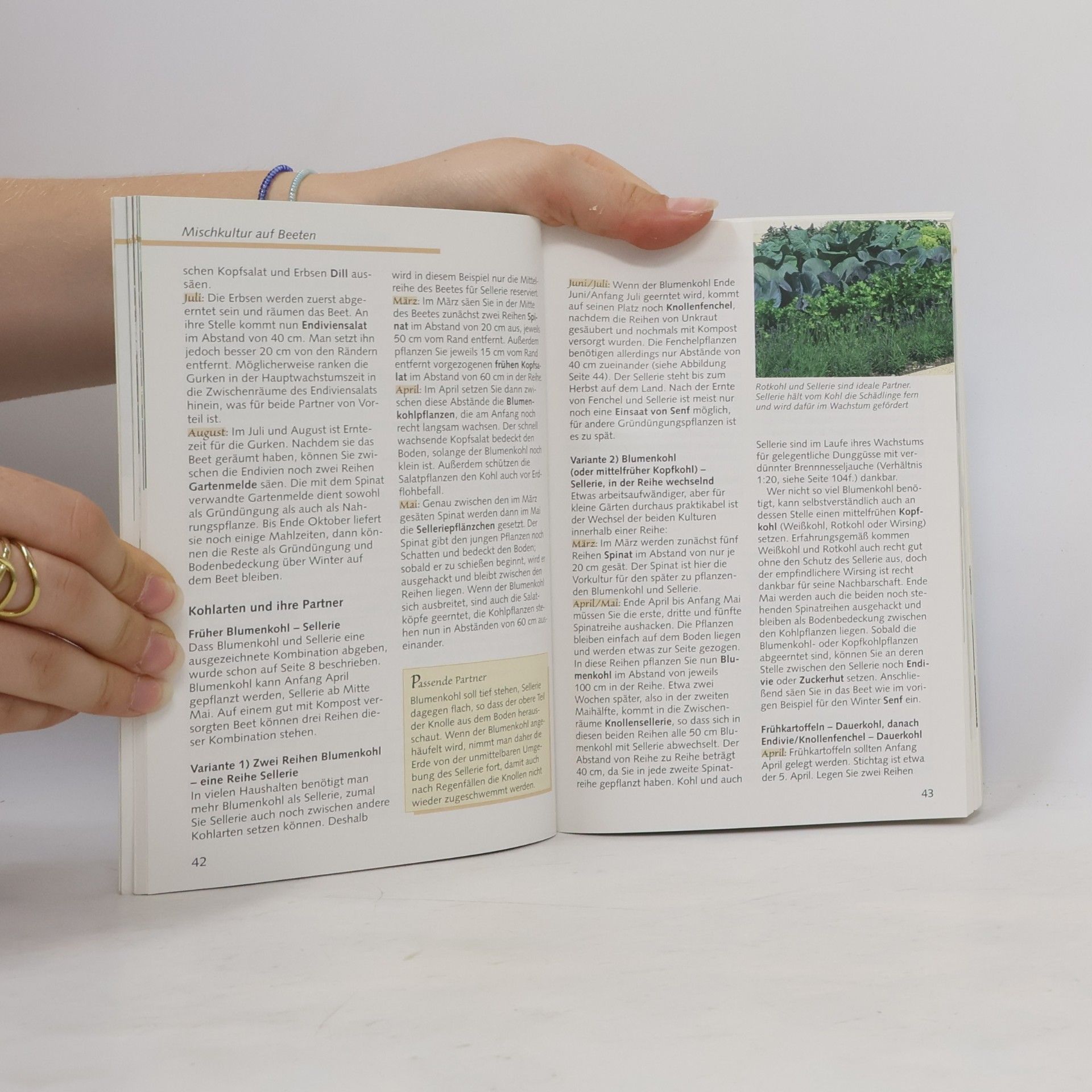 Christa Weinrich Mischkultur im Hobbygarten