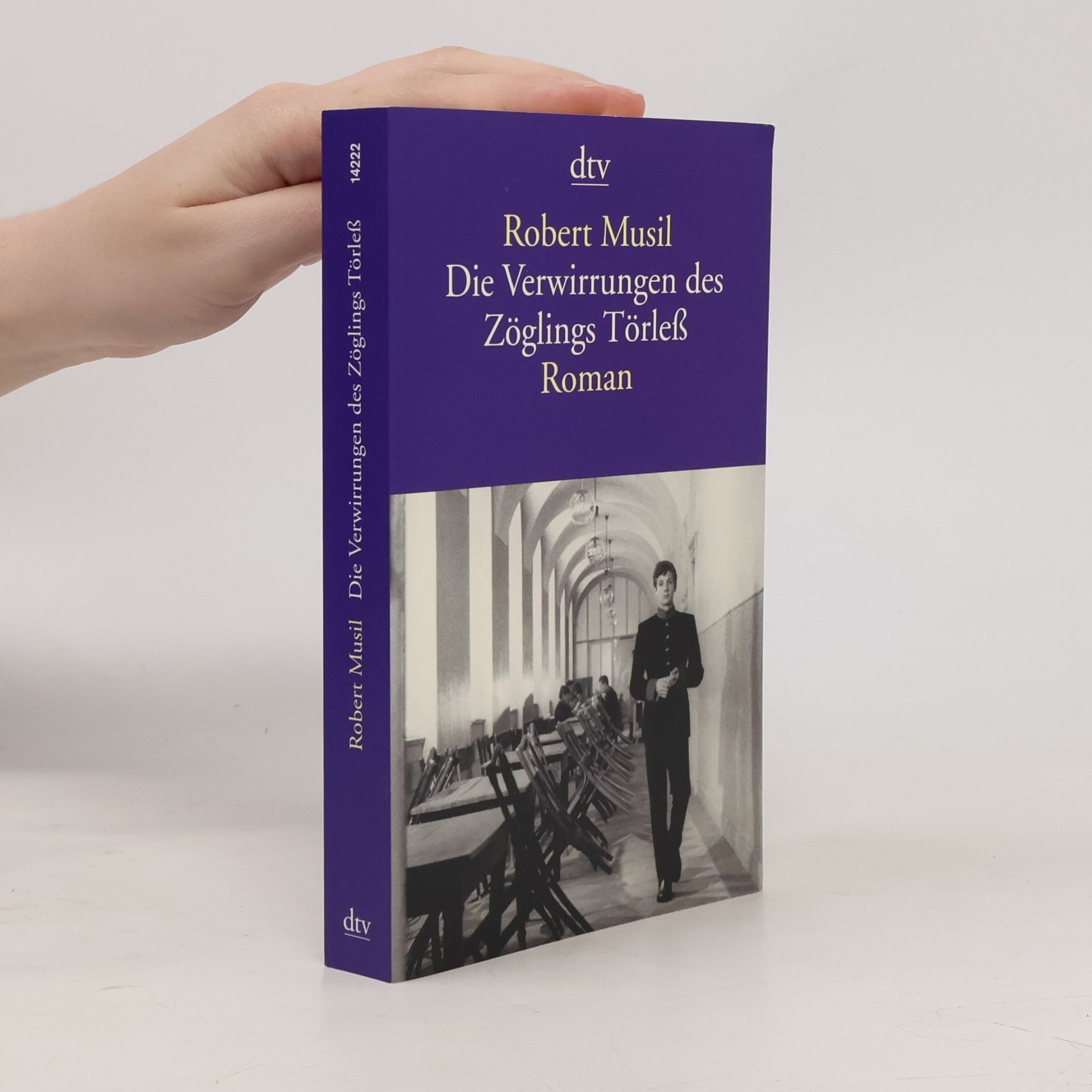 Robert Musil Die Verwirrungen des Zöglings Törleß