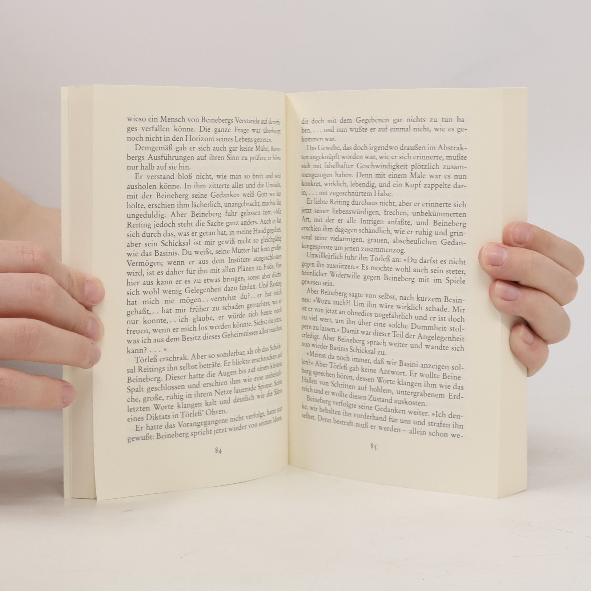 Robert Musil Die Verwirrungen des Zöglings Törleß