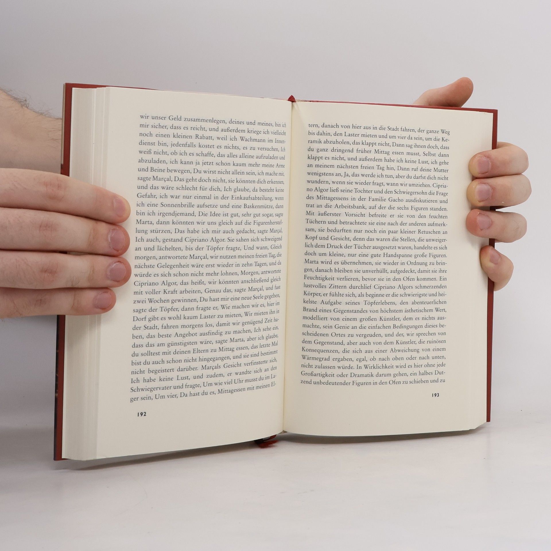 José Saramago Das Zentrum