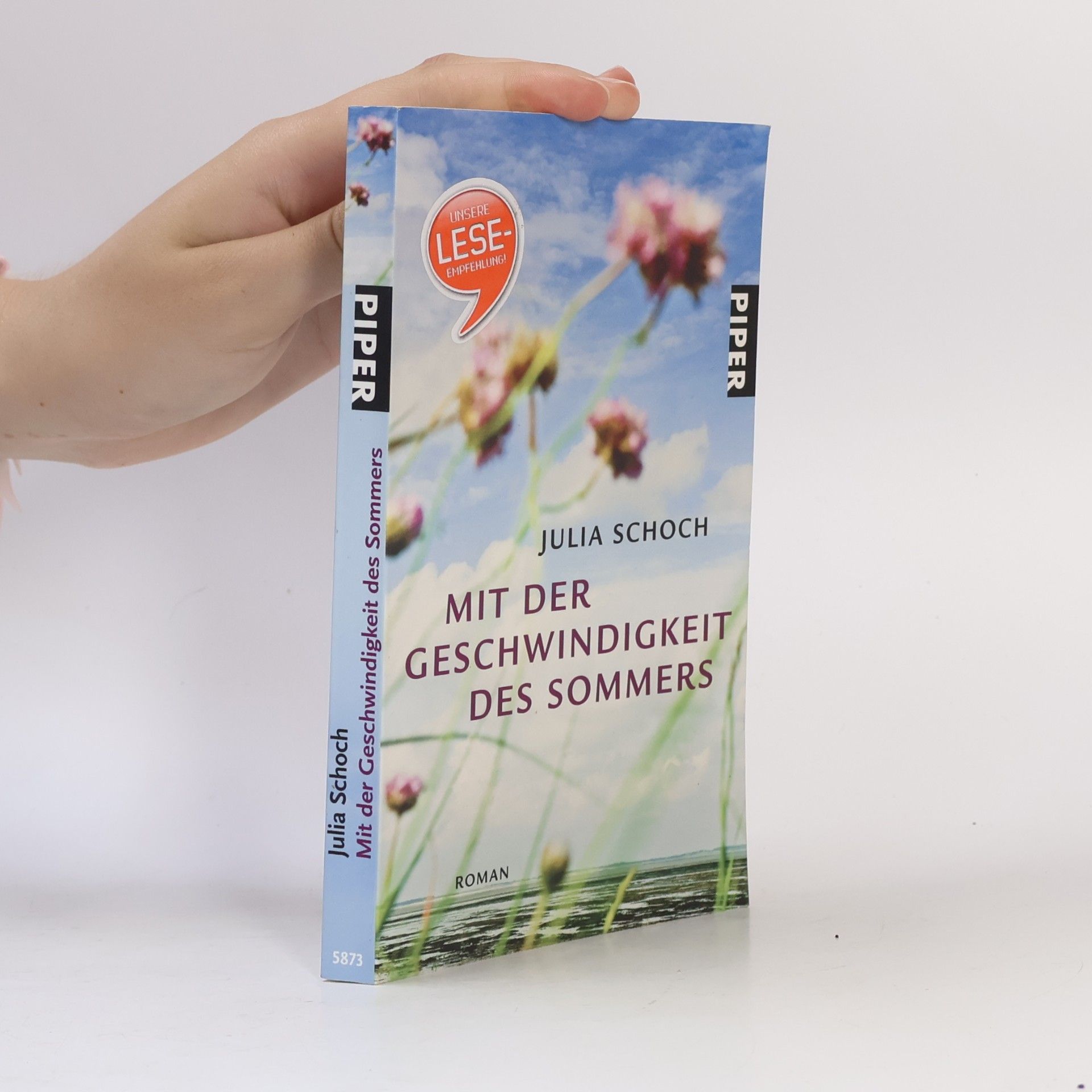 Julia Schoch Mit der Geschwindigkeit des Sommers