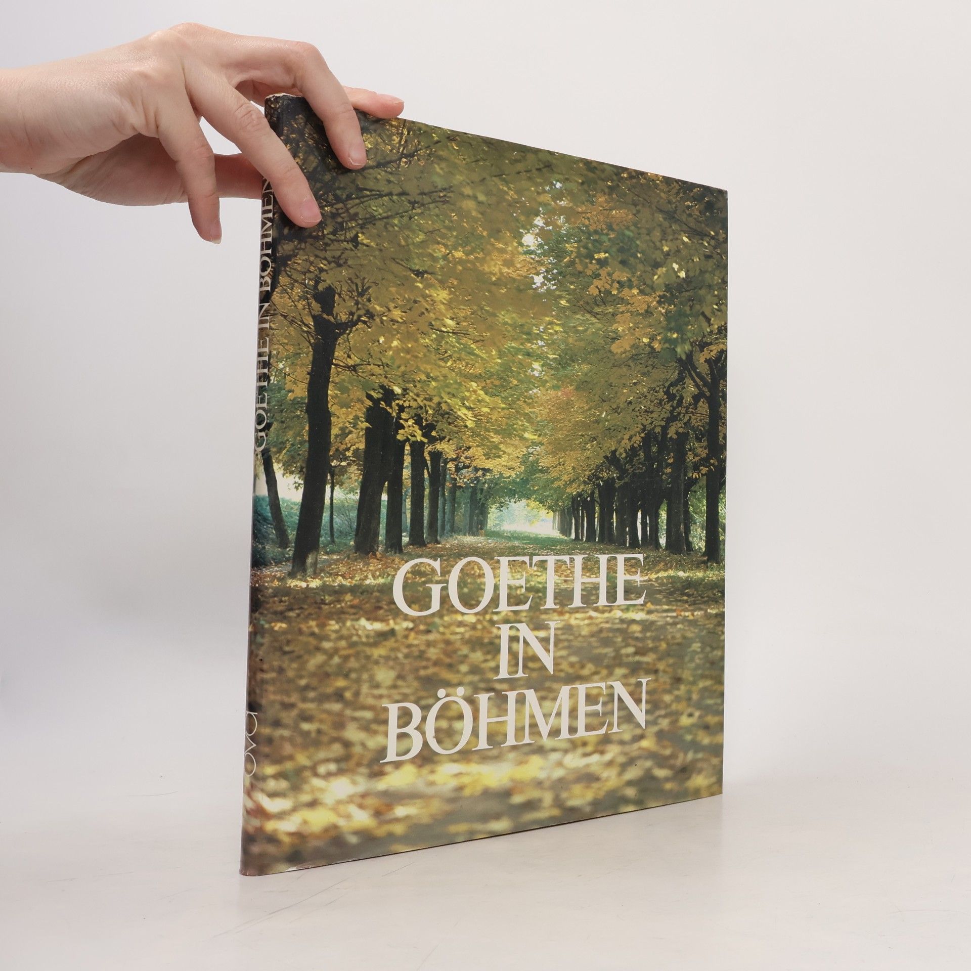 Hermann Braun Goethe in Böhmen