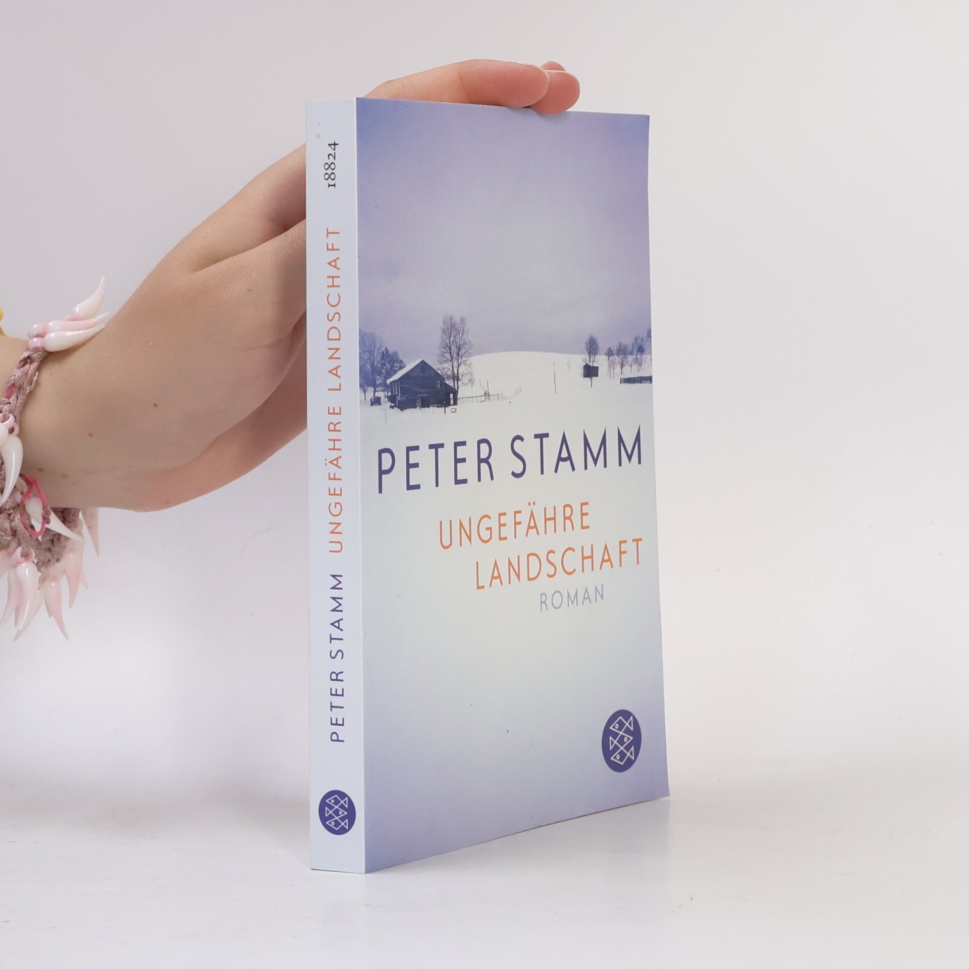 Peter Stamm Ungefähre Landschaft