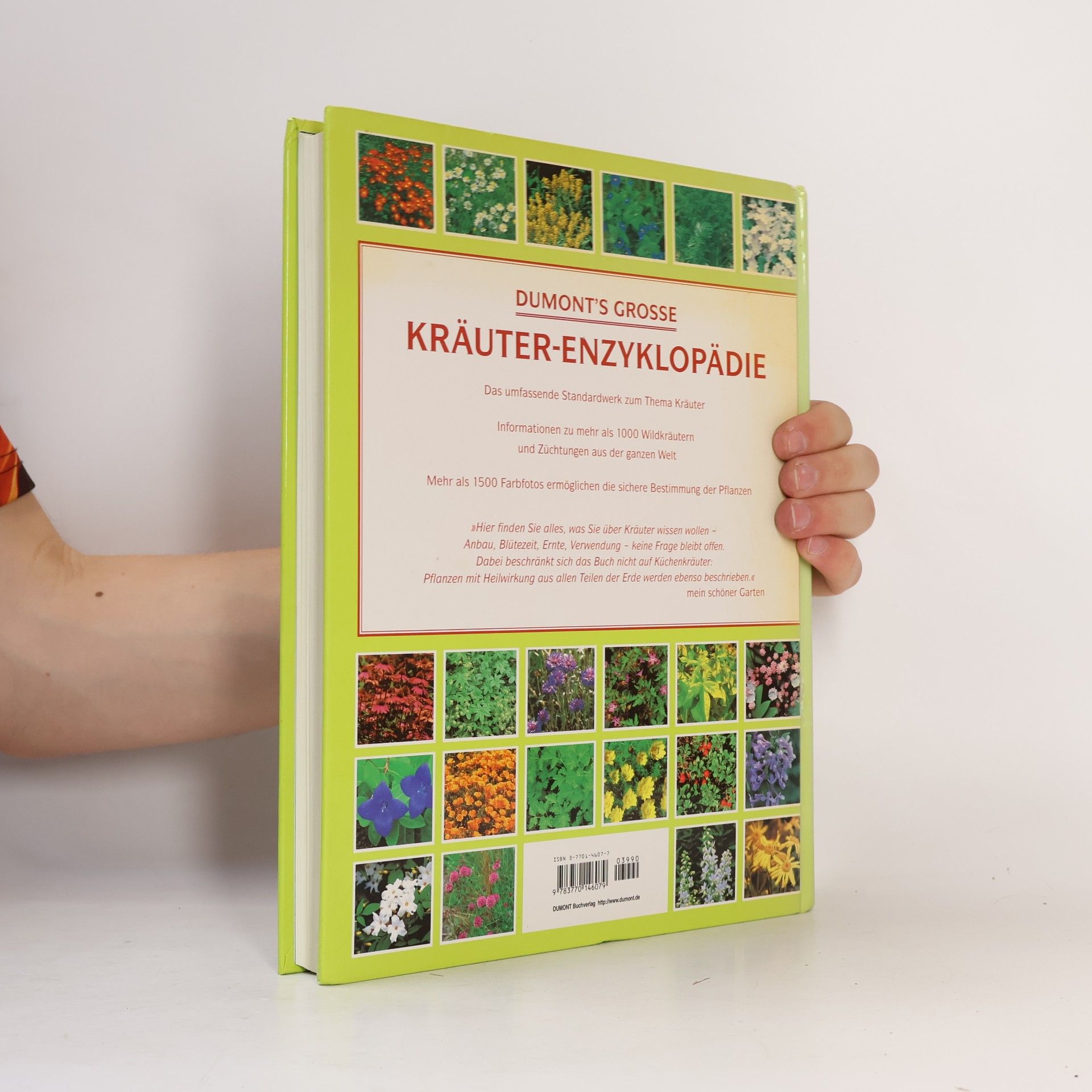 Deni Bown DuMont's grosse Kräuterenzyklopädie