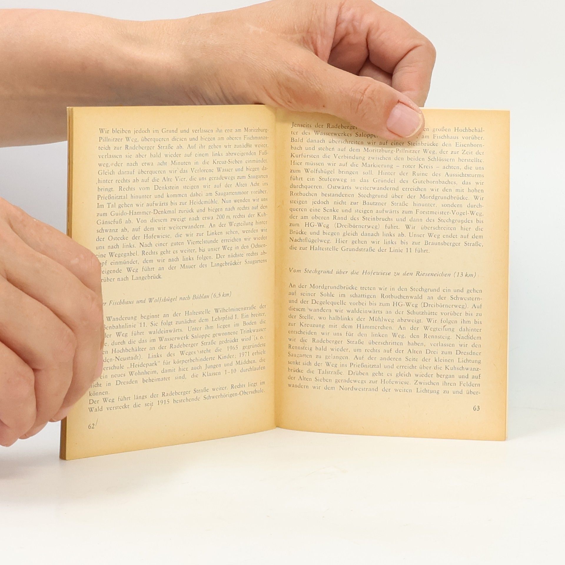 Autorenkollektiv Brockhaus Wanderheft 9. Dresdner Heide