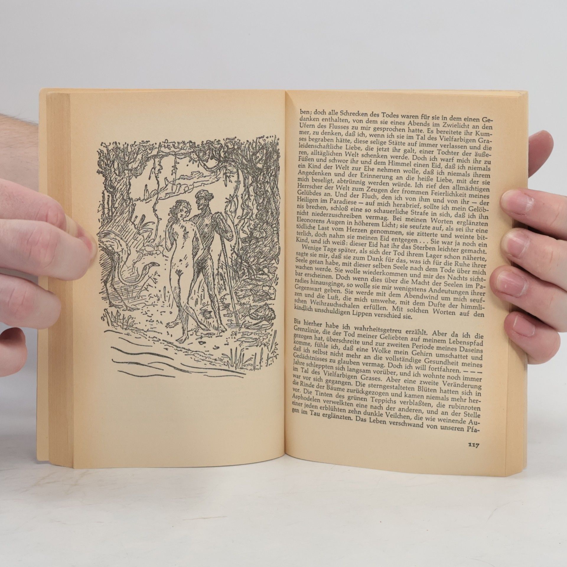 Edgar Allan Poe Geschichten des Grauens I-III