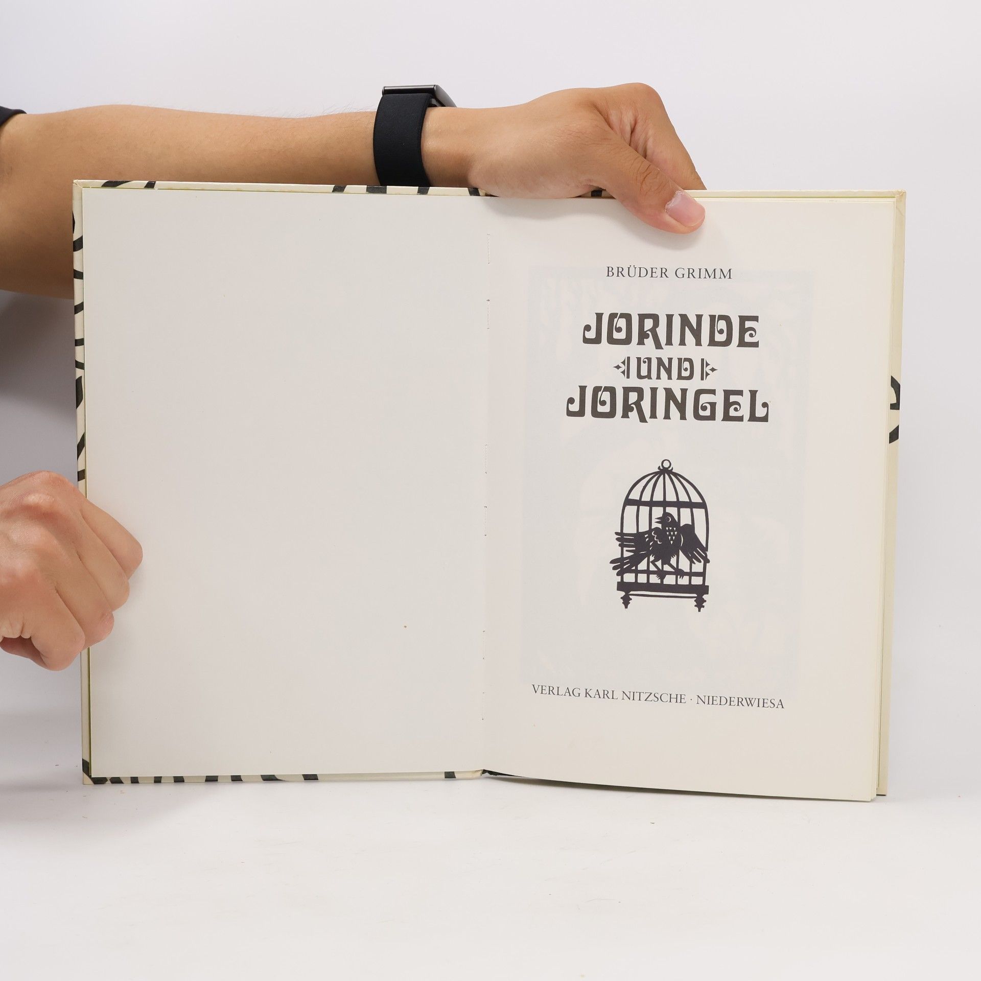 Autorenkollektiv Jorinde und Joringel