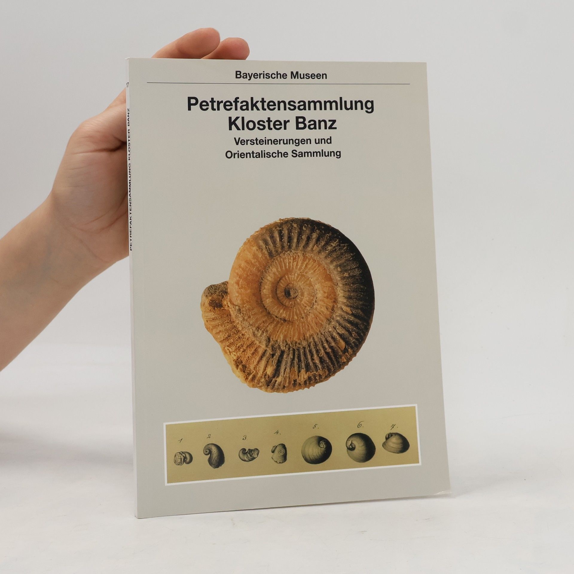 Bernhard Kästle Bayerische Museen: Petrefaktensammlung Kloster Banz