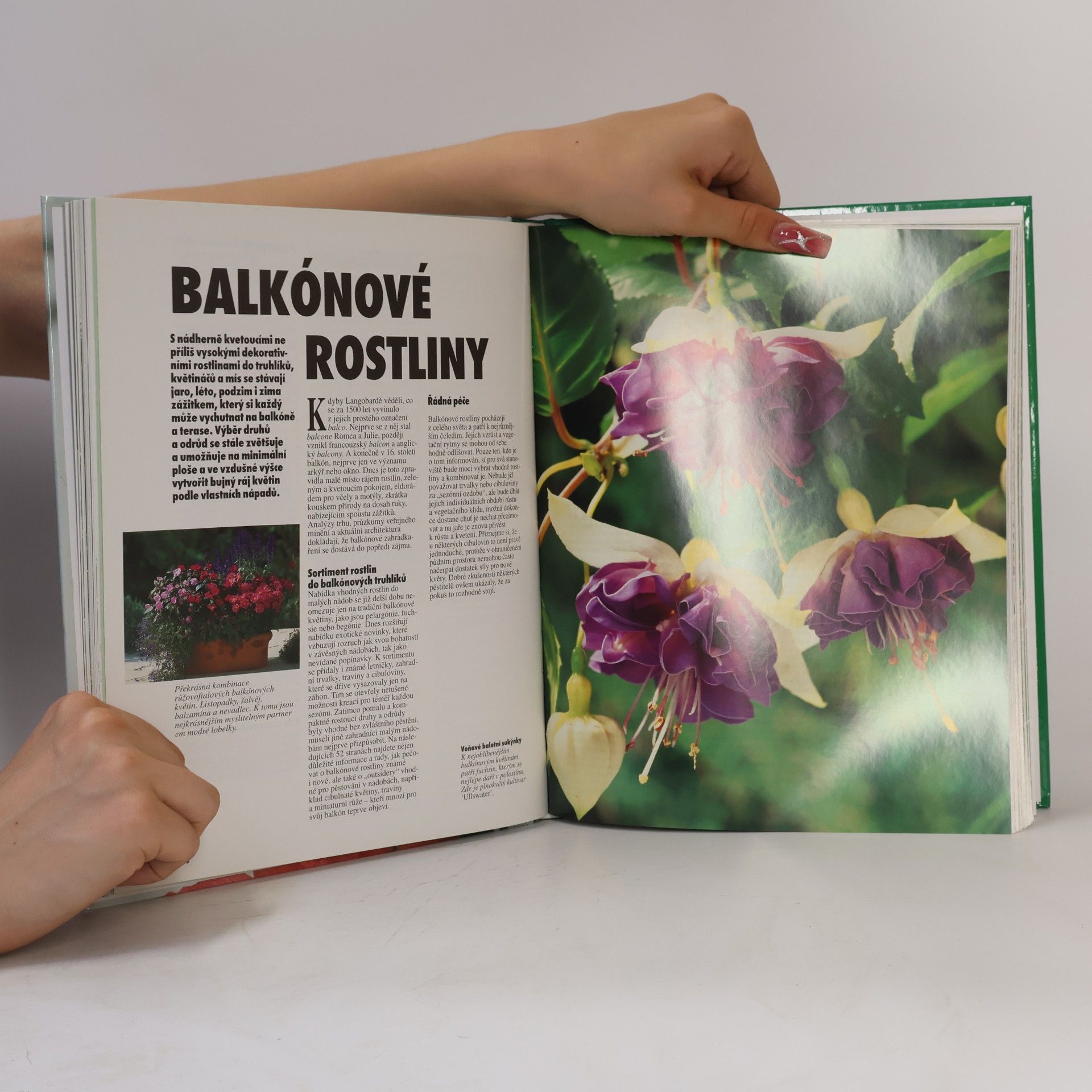 Halina Heitz Balkónové rostliny: Nejkrásnější jsou za květu