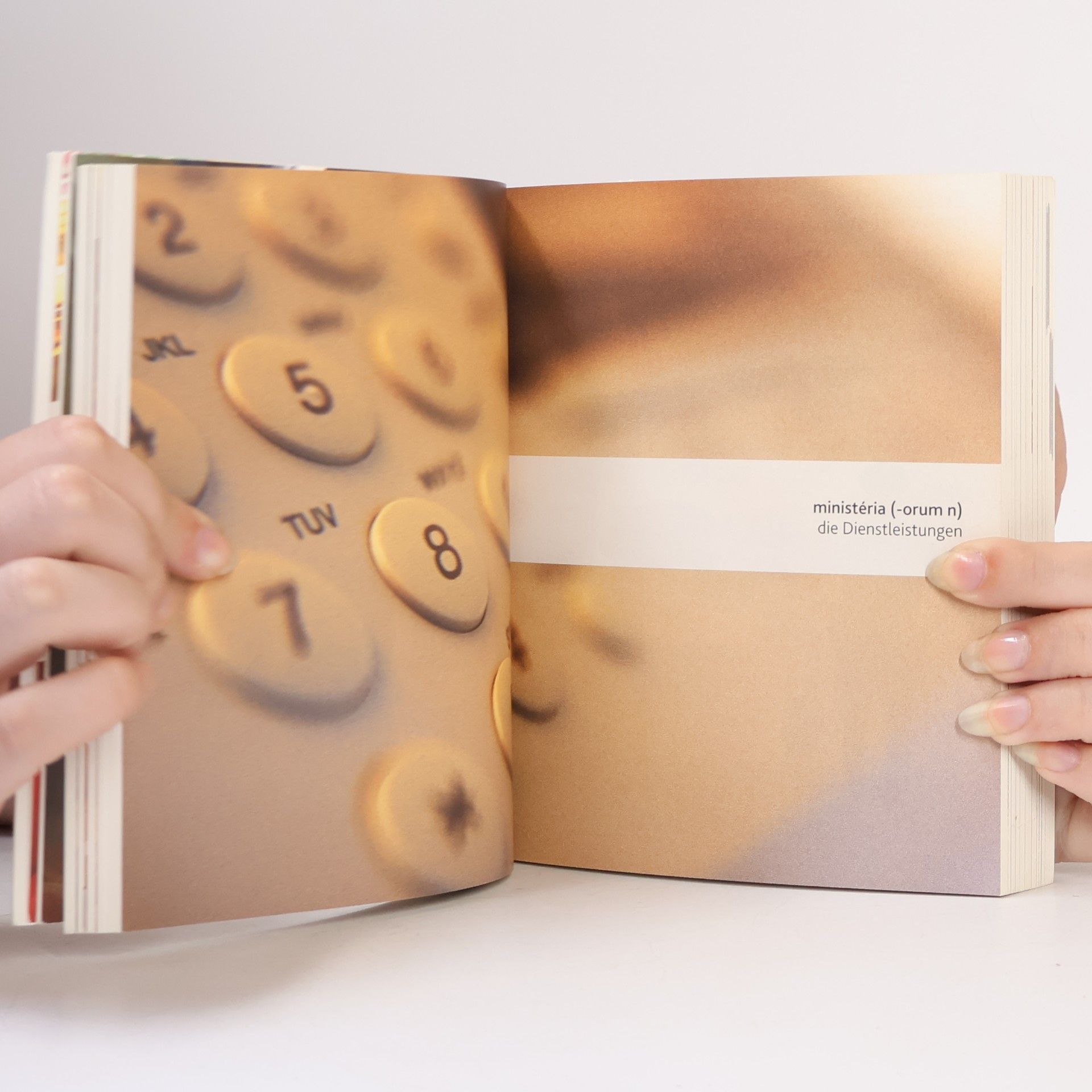 Visuelles Wörterbuch Latein-Deutsch