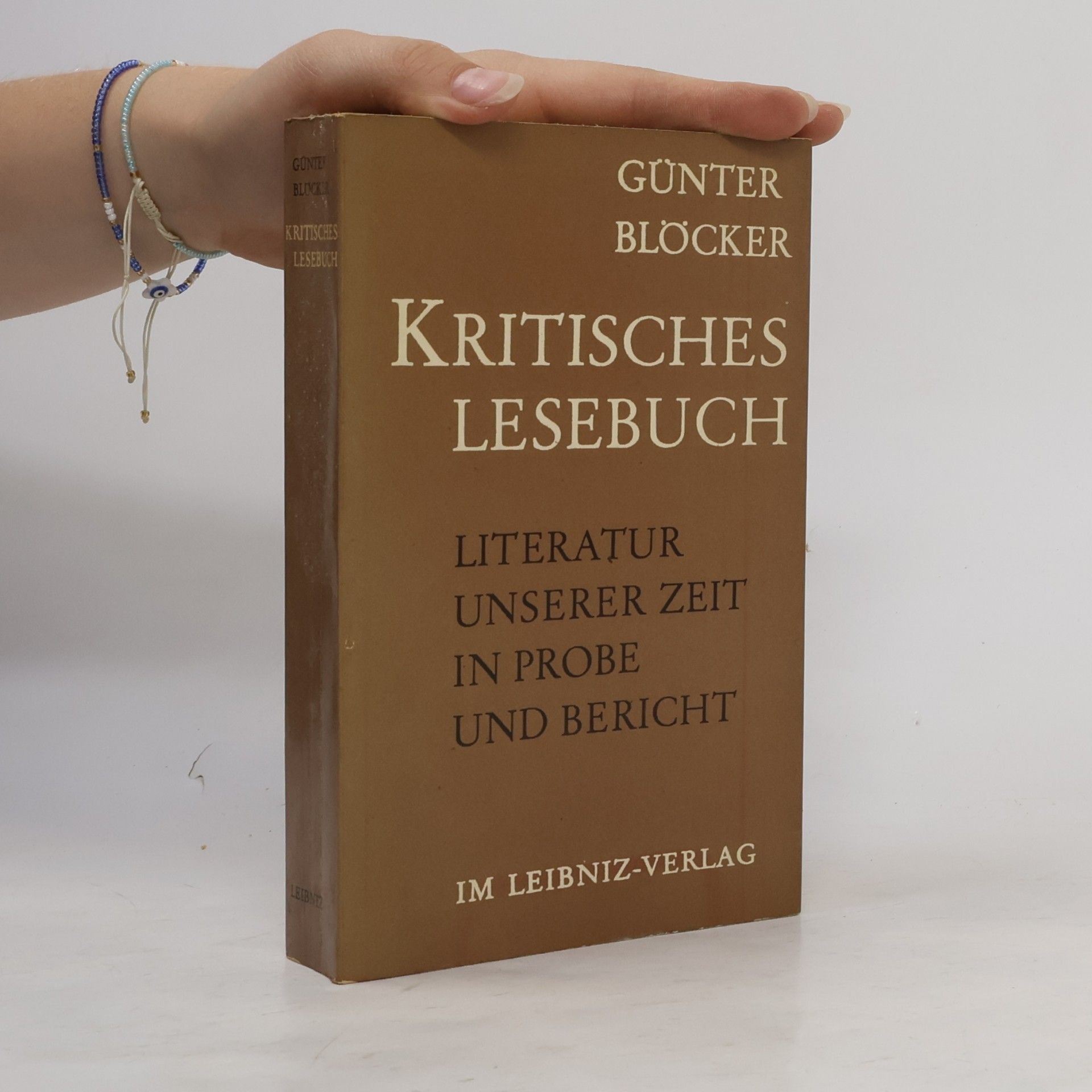 Kritisches Lesebuch