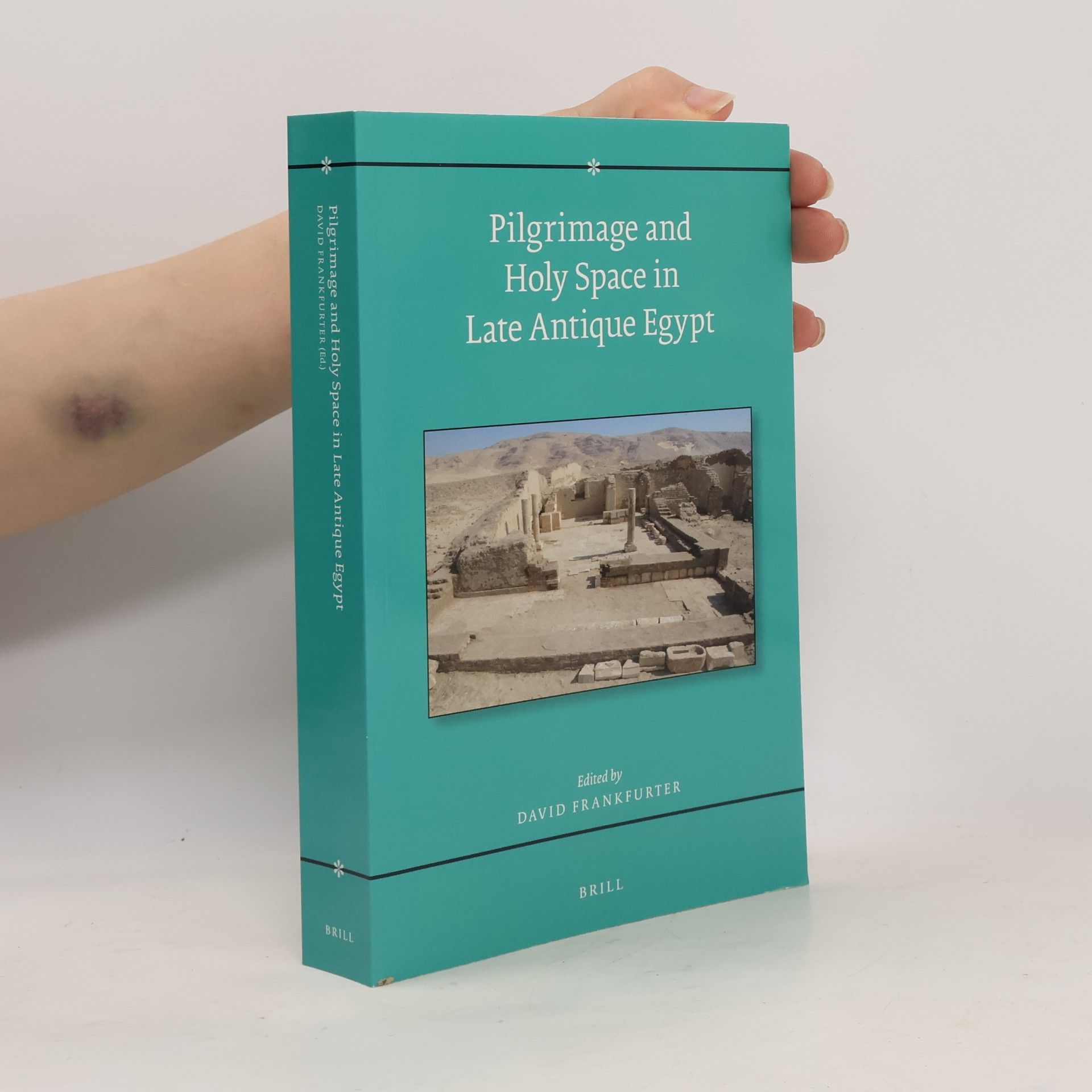David Frankfurter Religions in the Graeco-Roman World - 134: Pilgrimage and Holy Space in Late Antique Egypt