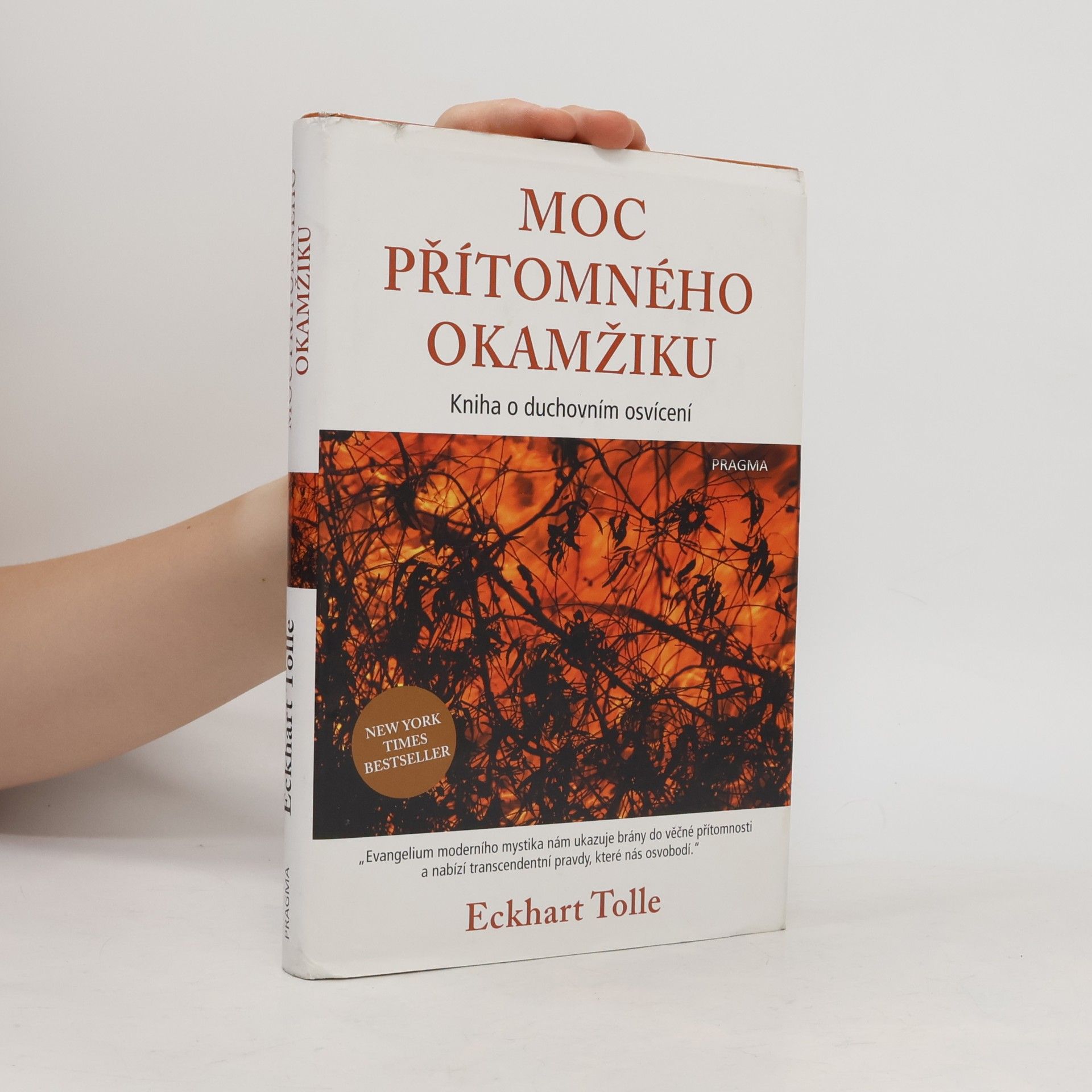 Eckhart Tolle Moc přítomného okamžiku