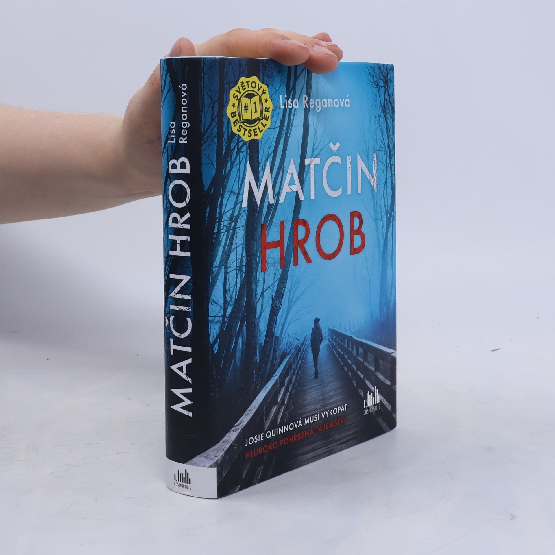 Lisa Regan Matčin hrob