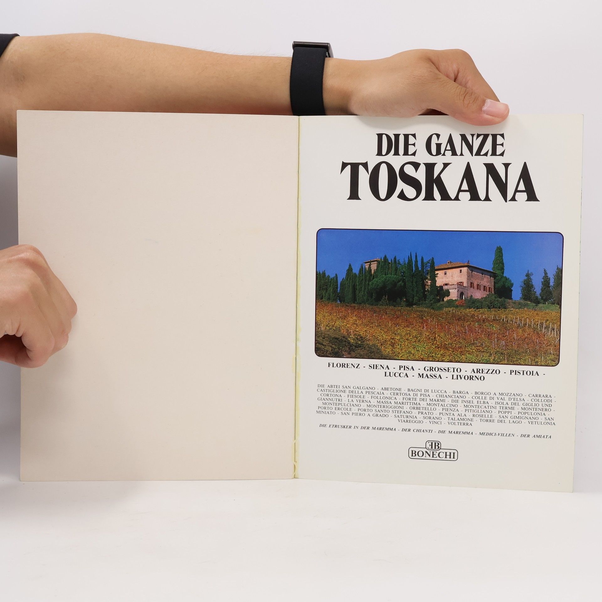 Kolektív autorov Die ganze Toskana