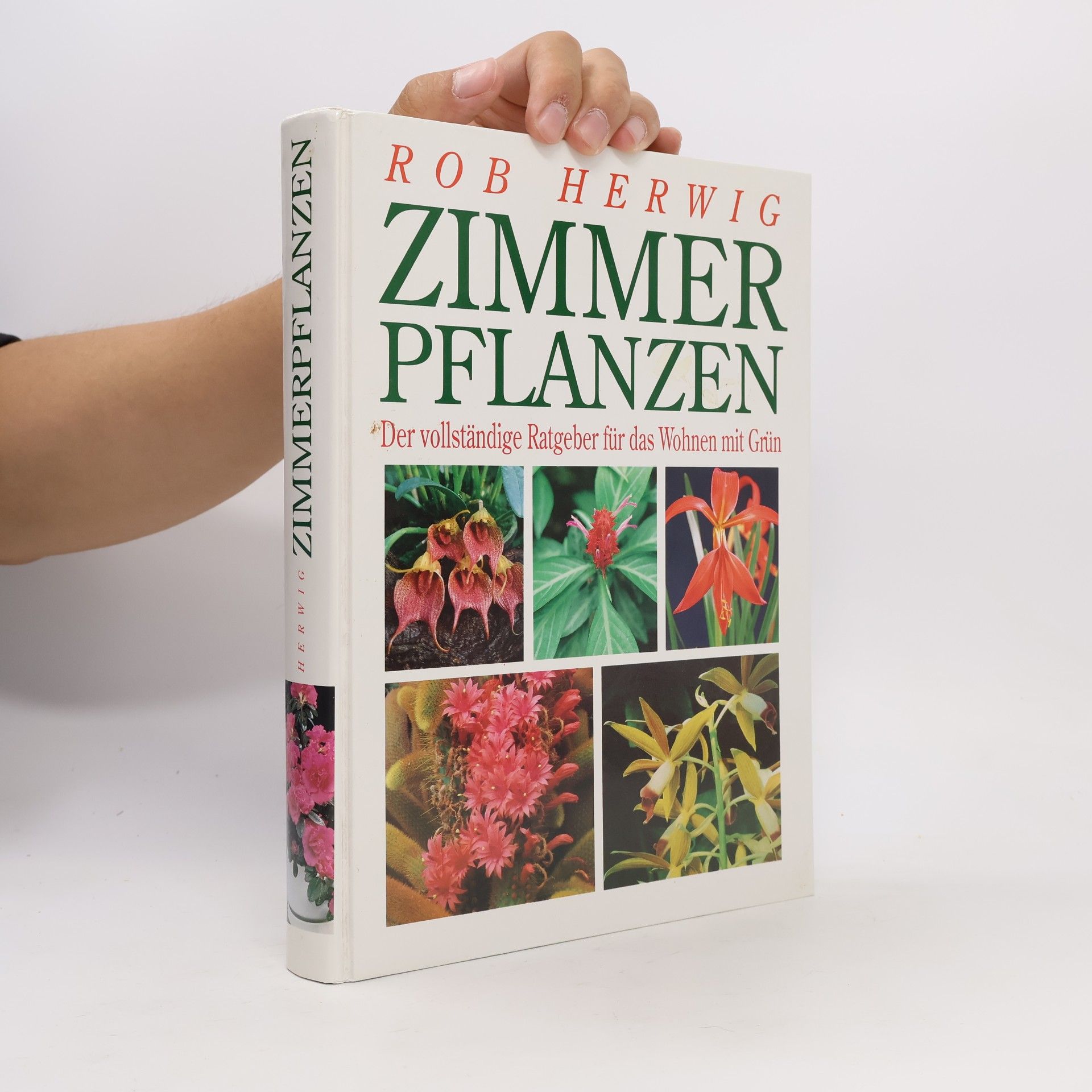 Rob Hewig Zimmerpflanzen