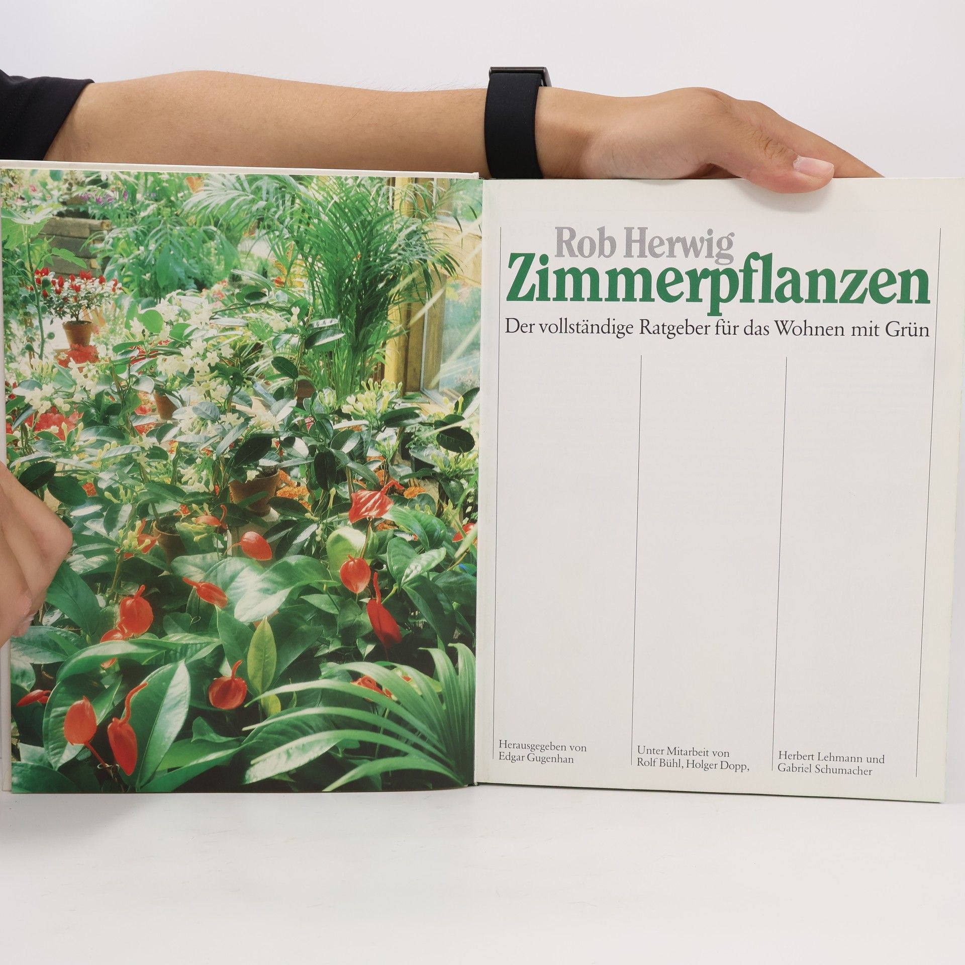 Rob Hewig Zimmerpflanzen