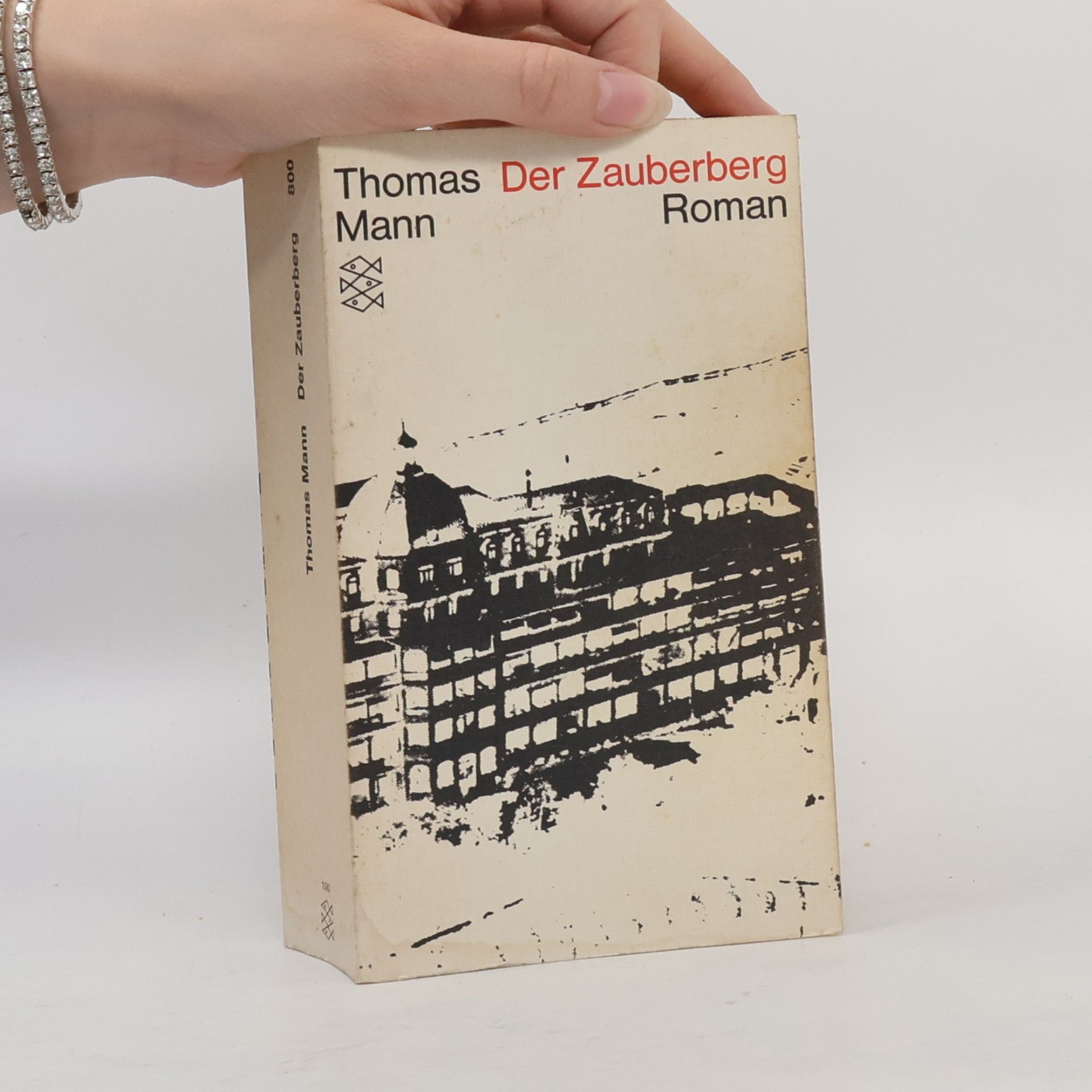 Thomas Mann Der Zauberberg